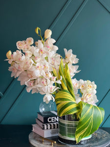 Cymbidium Orchids in Vase | Modern Orchid Arrangement buy online Luxury Flowers Miami