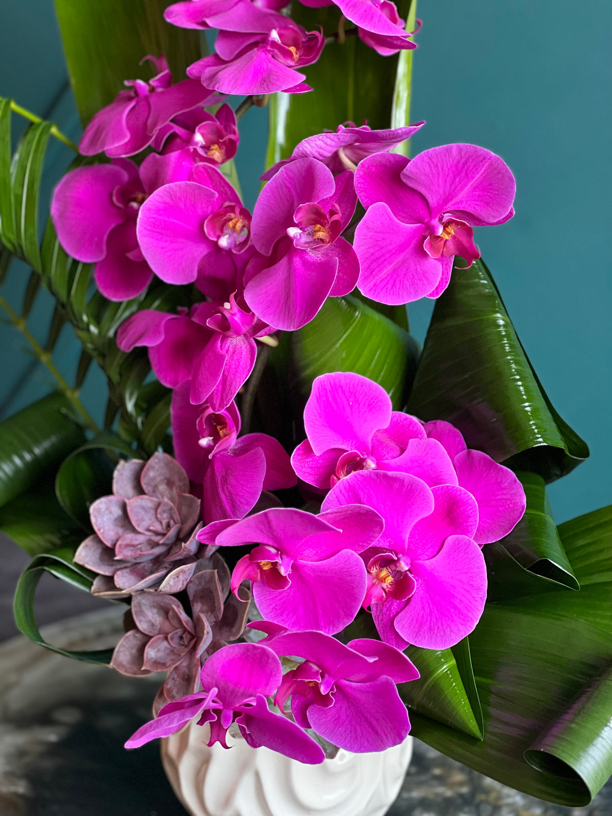 Phalaenopsis Orchid Arrangement – Luxury Orchid Flowers Miami