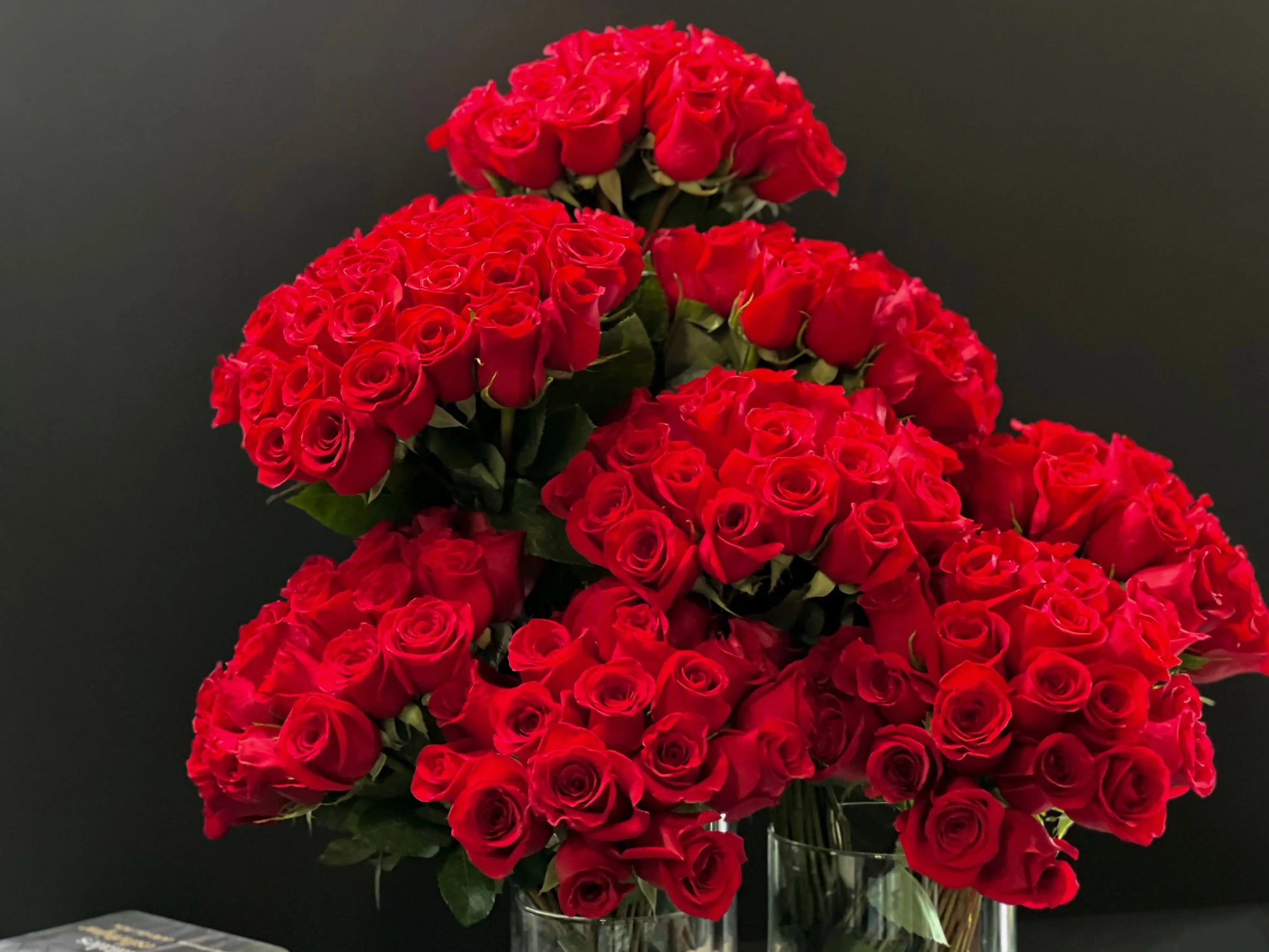 Amore | 200 Roses in custom cement tray buy online Luxury Flowers Miami