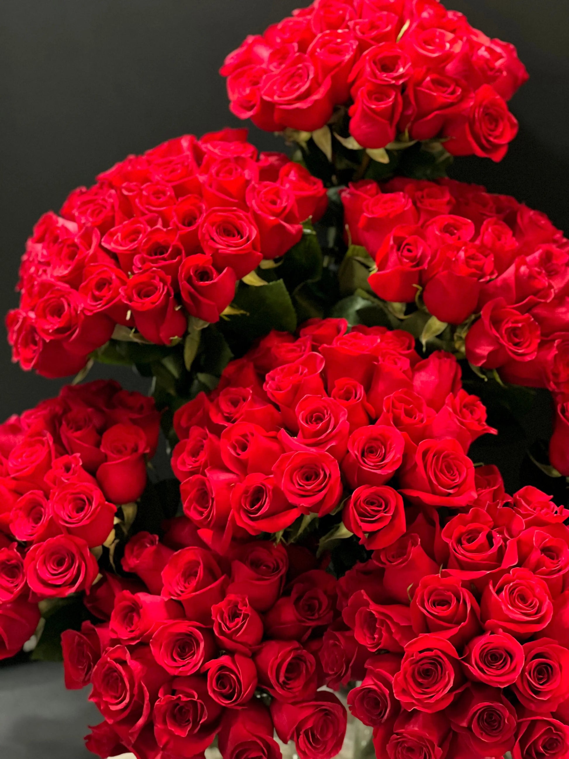 Amore | 200 Roses in custom cement tray buy online Luxury Flowers Miami