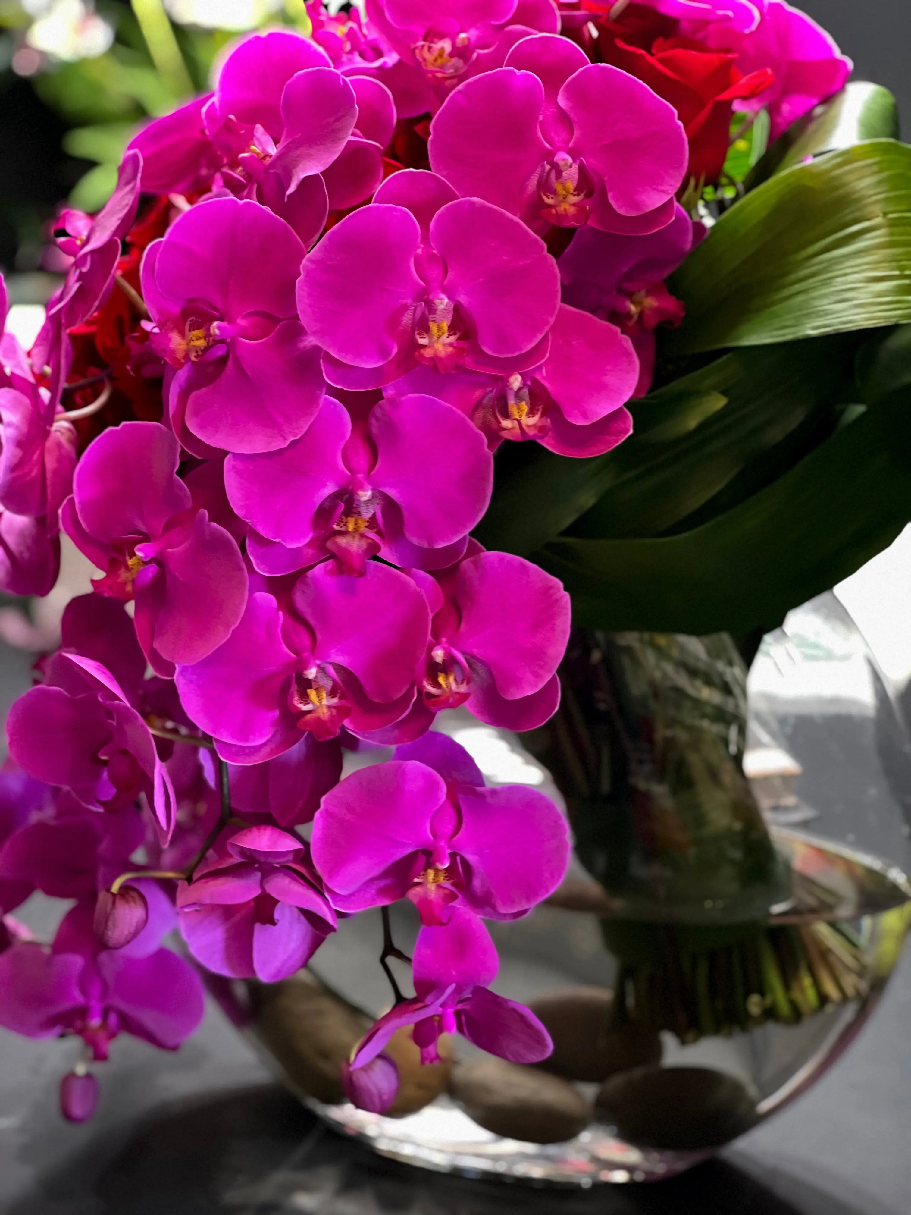Love Waterfall | Luxury Roses and Orchids Miami buy online Luxury Flowers Miami