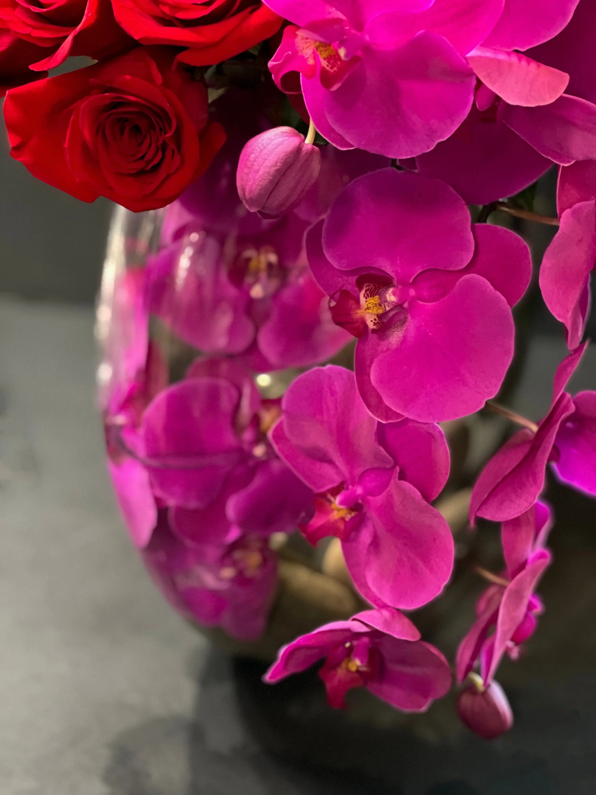 Love Waterfall | Luxury Roses and Orchids Miami buy online Luxury Flowers Miami