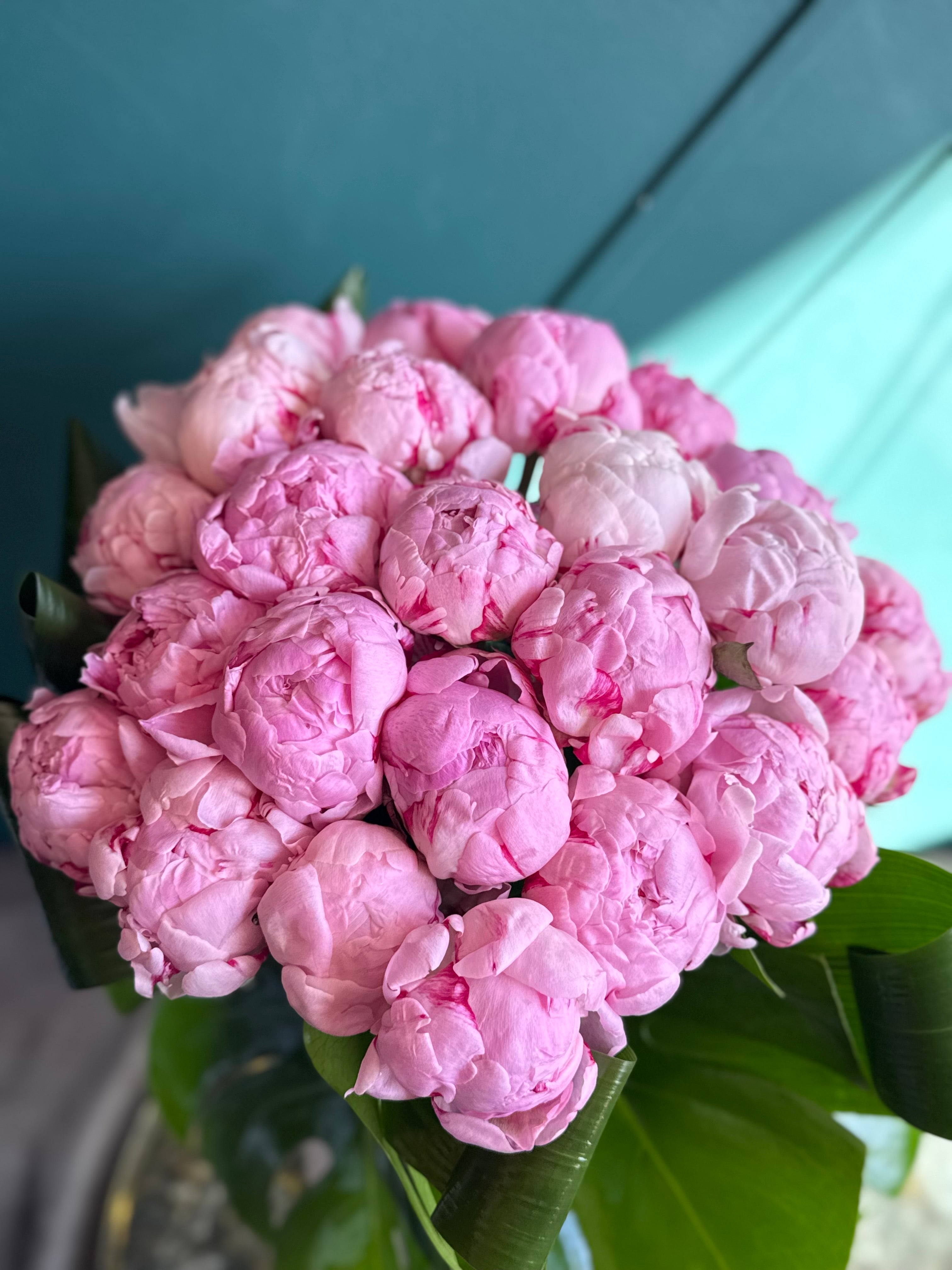 24 Pink Peonies – Luxury Peony Arrangement