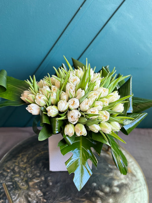 50 White Tulips In ceramic vase