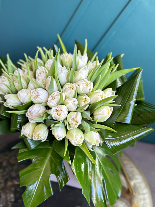 50 White Tulips In ceramic vase