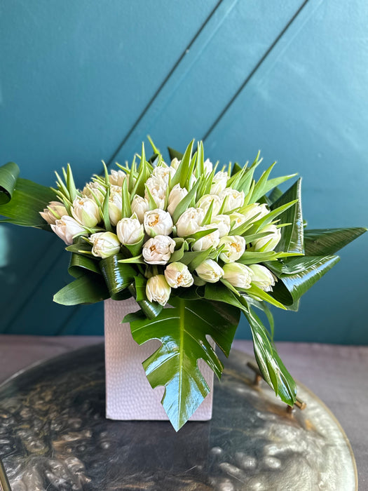 50 White Tulips In ceramic vase