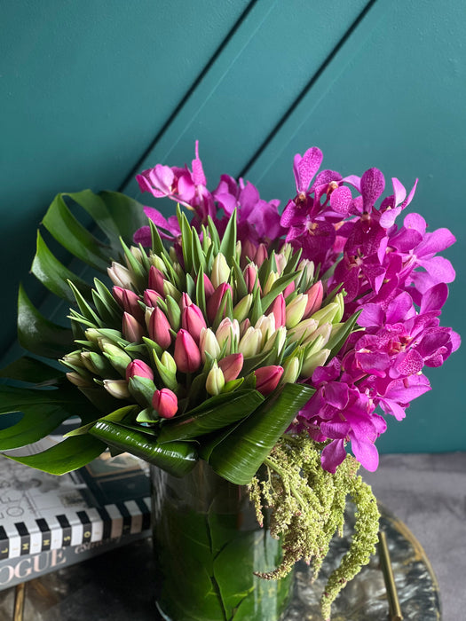 Tulips and Orchids