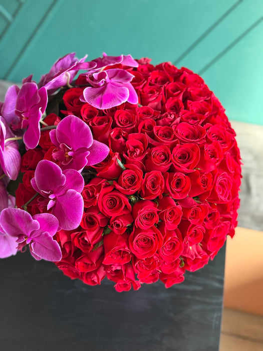 Forever Yours — 150 Red Roses & Phalaenopsis Orchids