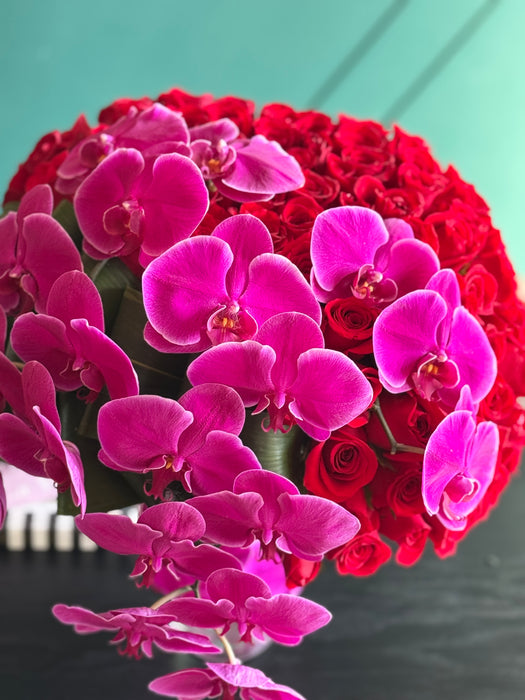 Forever Yours — 150 Red Roses & Phalaenopsis Orchids