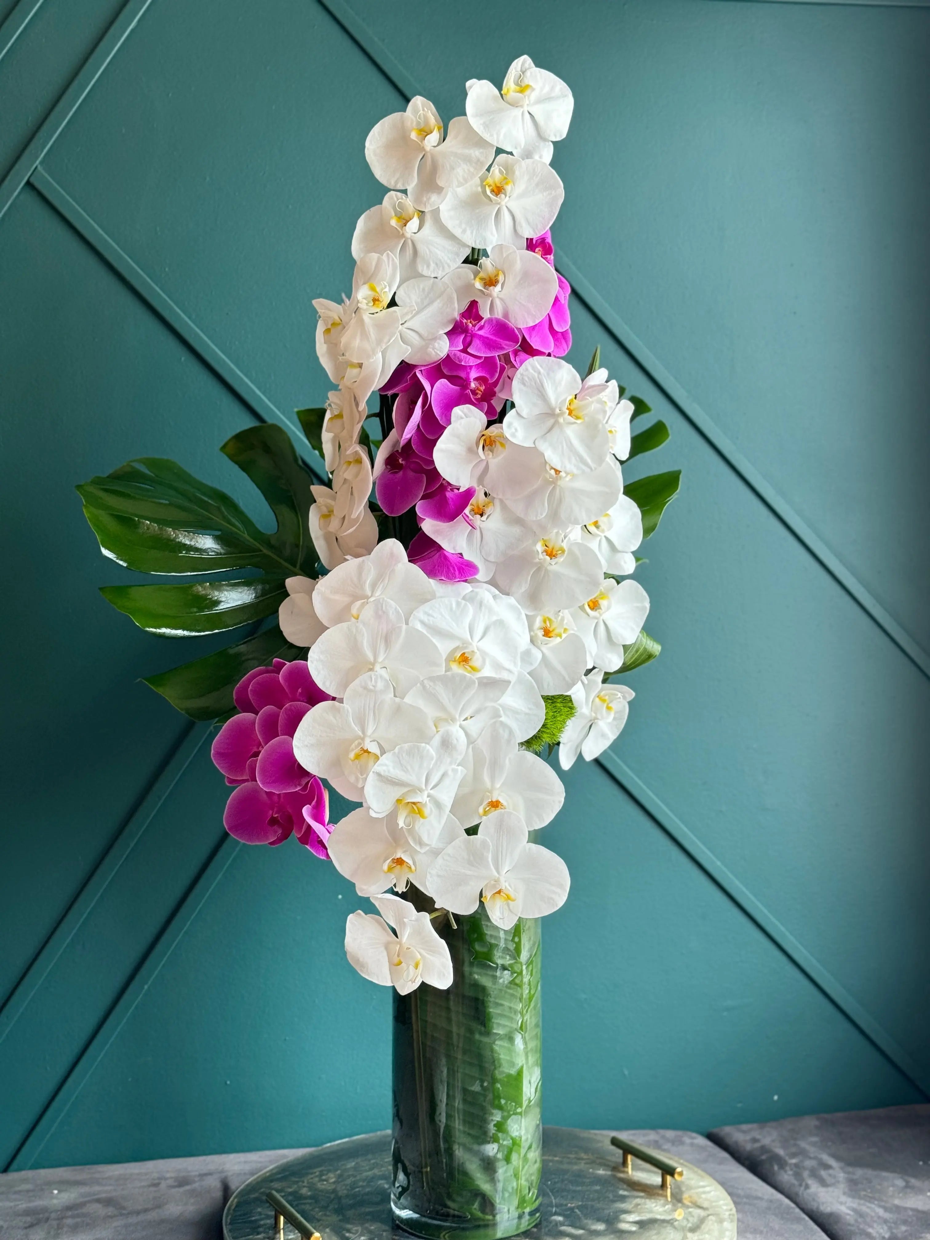 Tall Modern Design | Orchid Cascade buy online Luxury Flowers Miami
