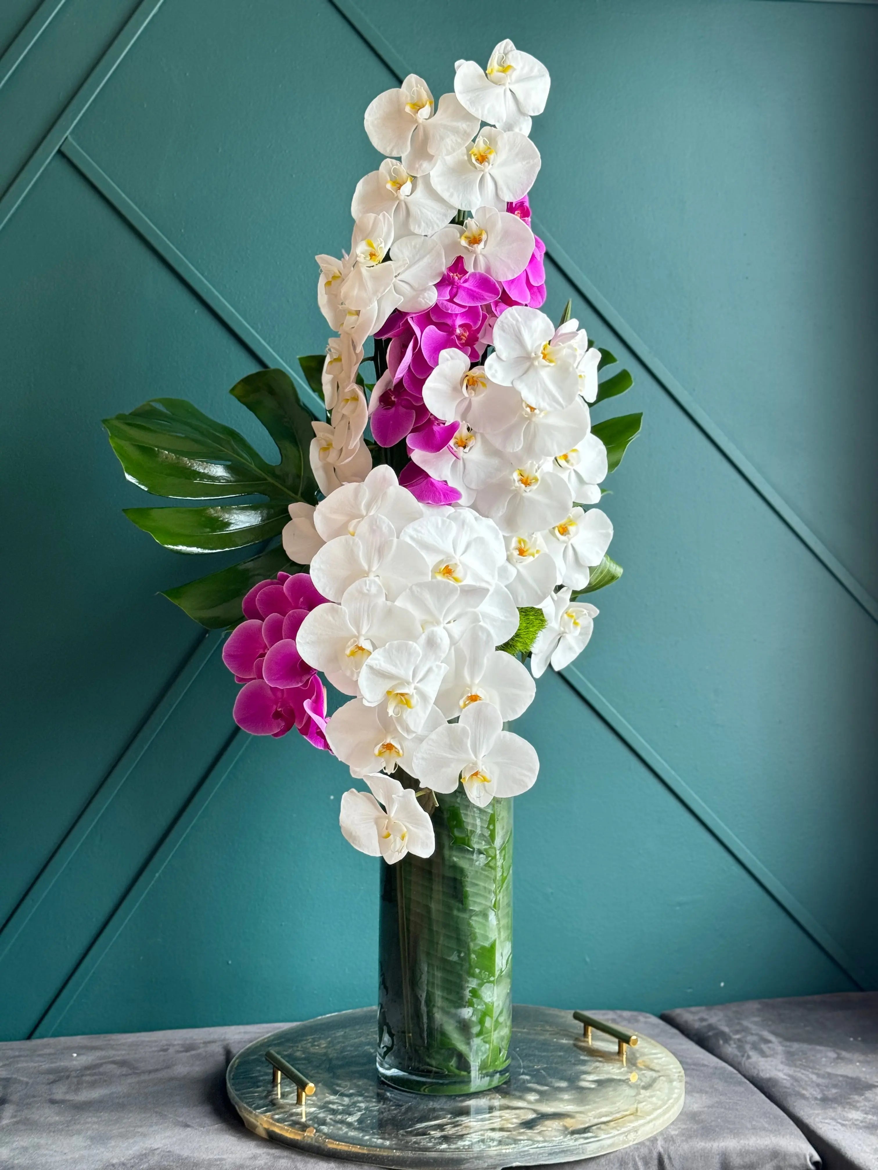 Tall Modern Design | Orchid Cascade buy online Luxury Flowers Miami