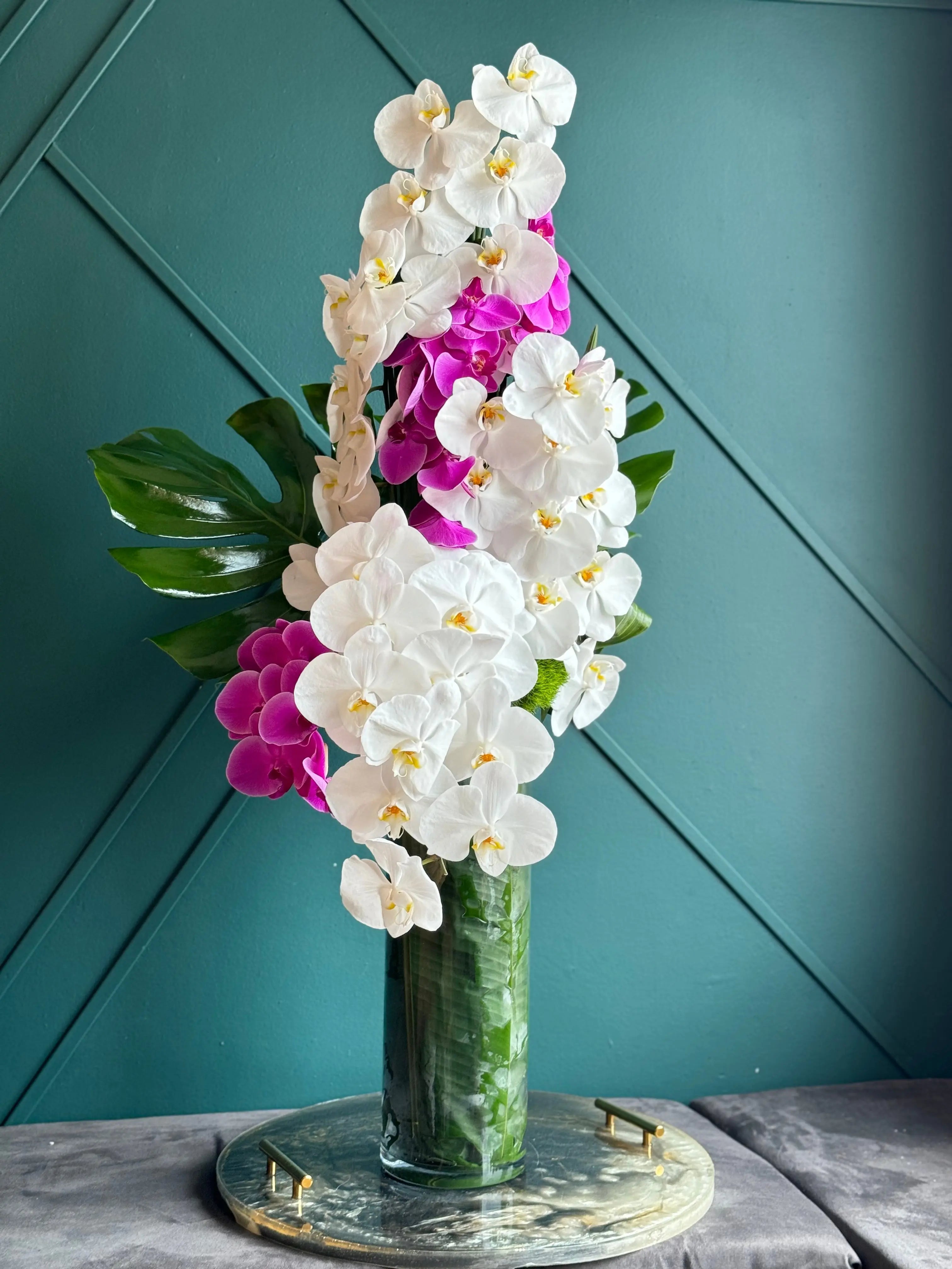 Tall Modern Design | Orchid Cascade buy online Luxury Flowers Miami