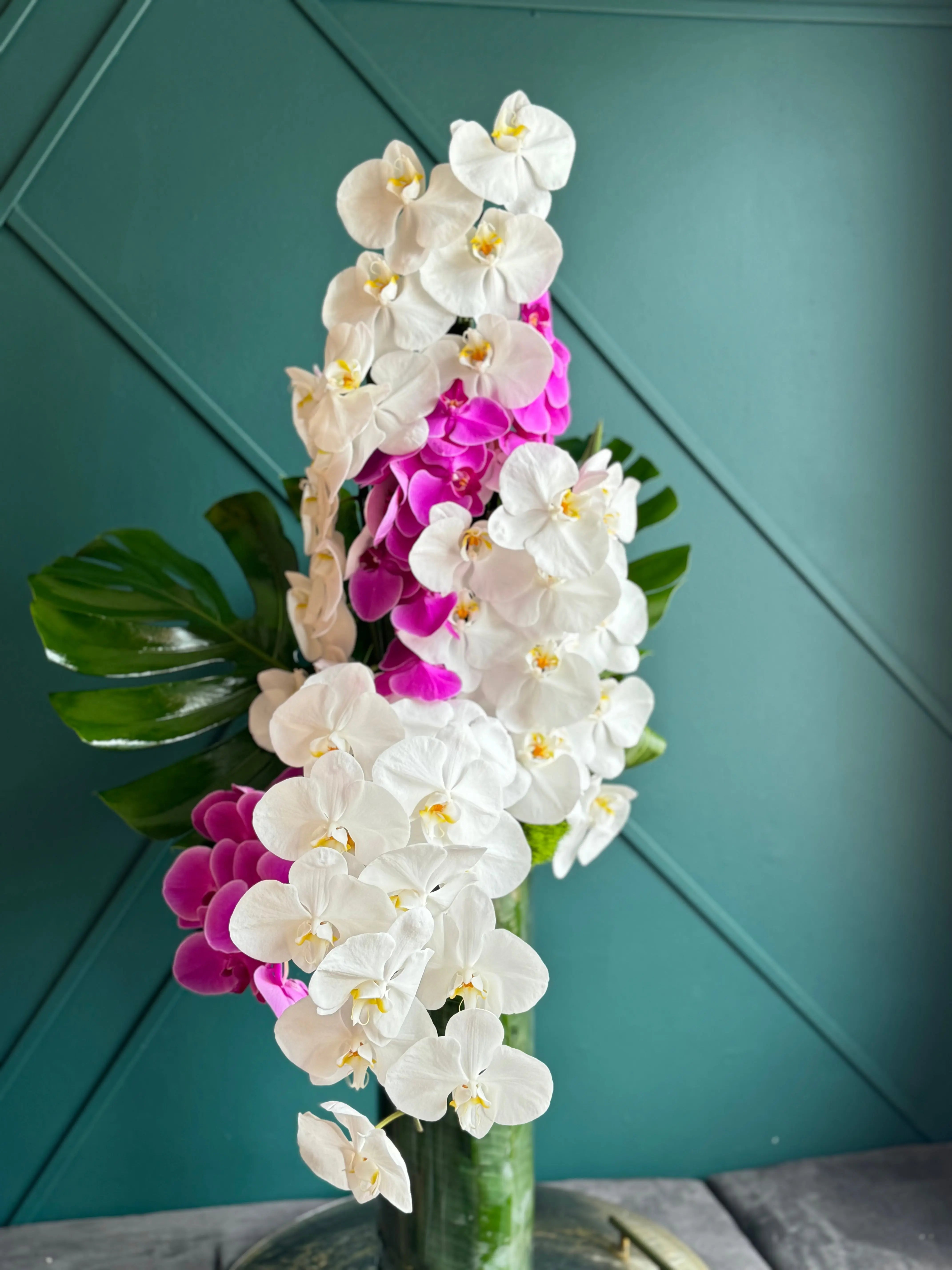 Tall Modern Design | Orchid Cascade buy online Luxury Flowers Miami
