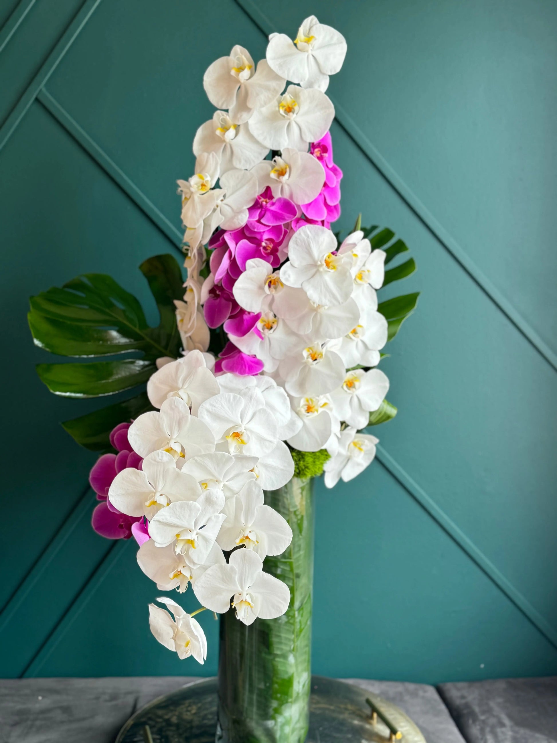 Tall Modern Design | Orchid Cascade buy online Luxury Flowers Miami