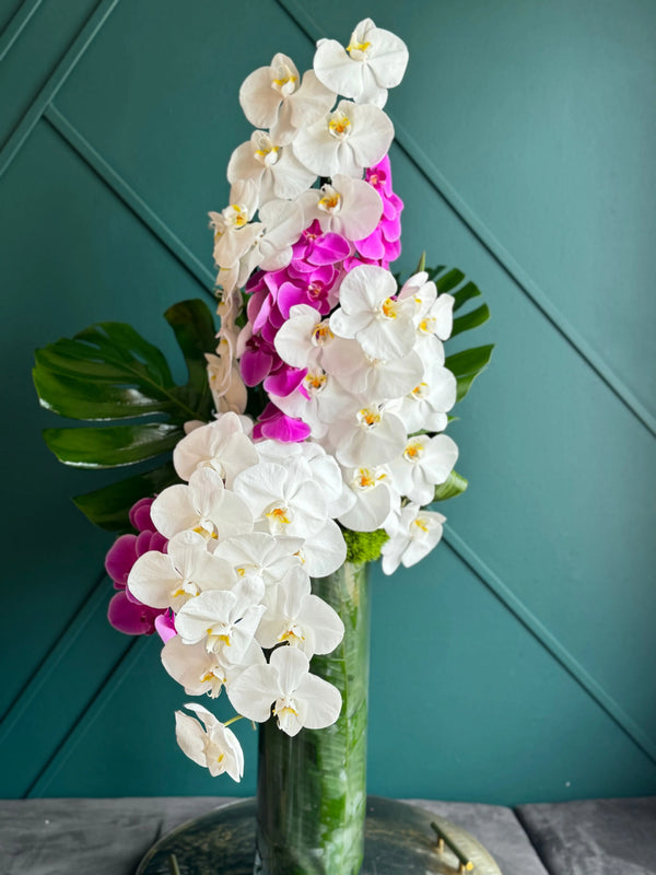 Tall Modern Design | Orchid Cascade buy online Luxury Flowers Miami
