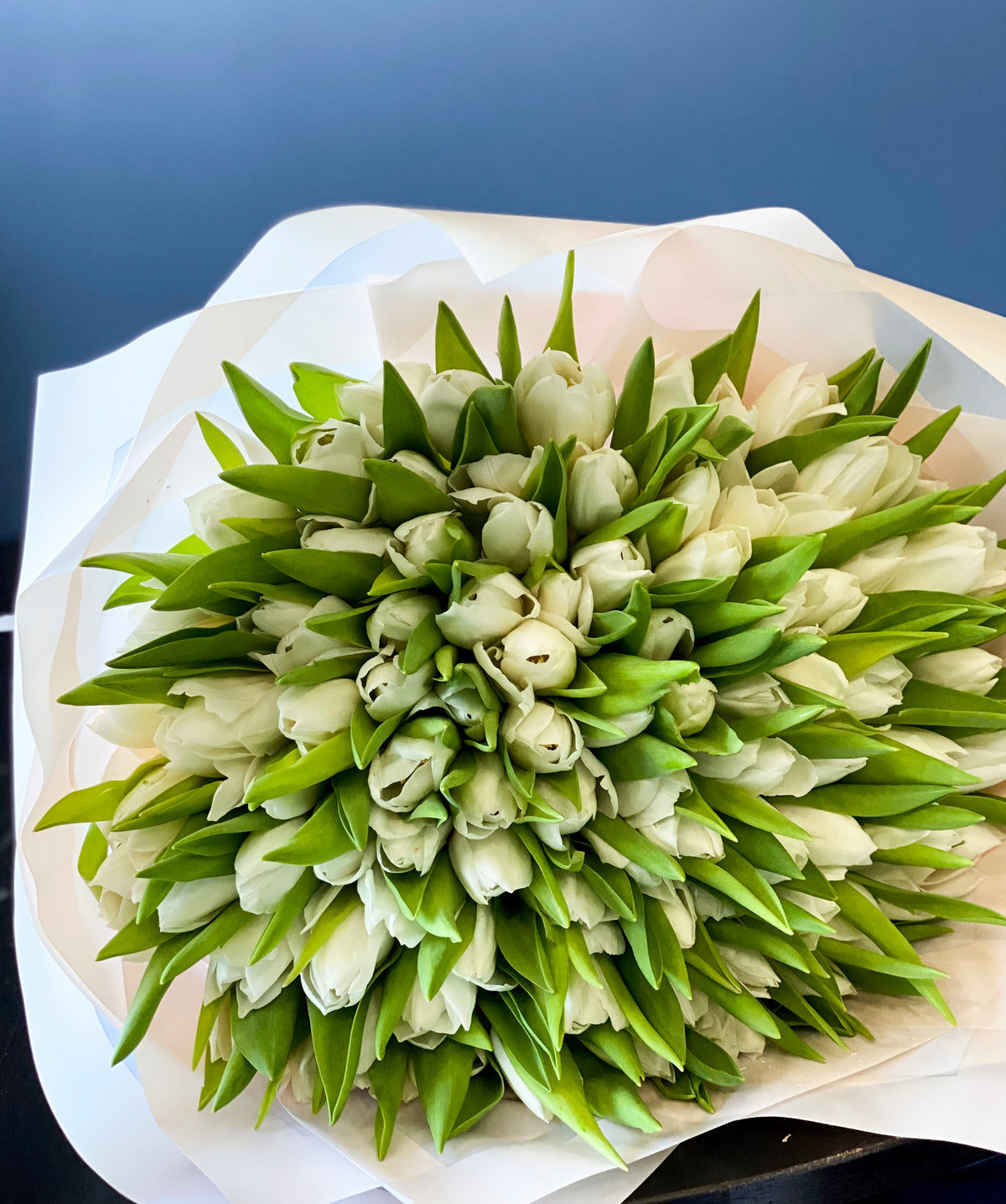 150 White Tulips Bouquet
