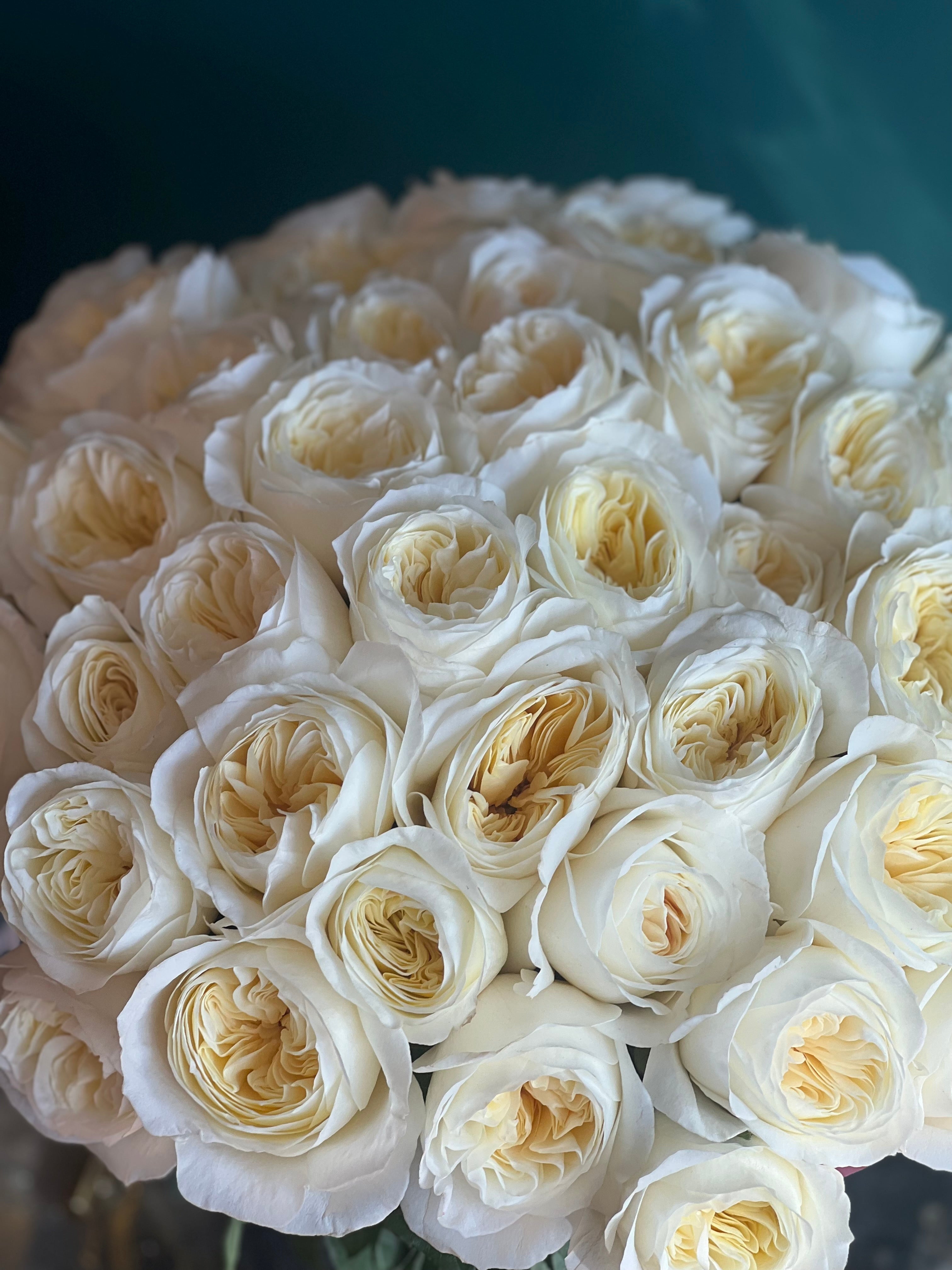 English Garden Elegance – 50 Premium Garden Roses Arrangement