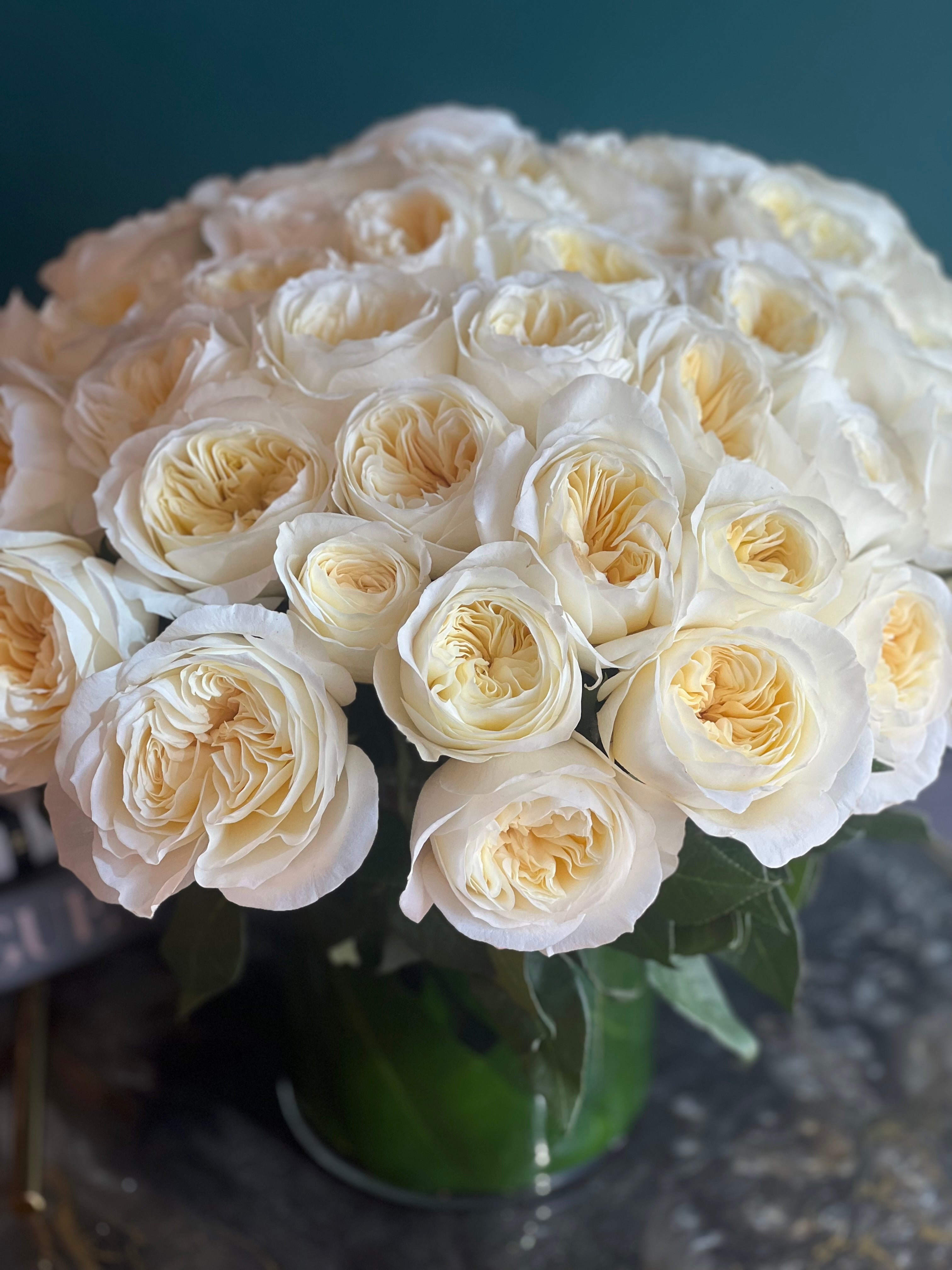 English Garden Elegance – 50 Premium Garden Roses Arrangement