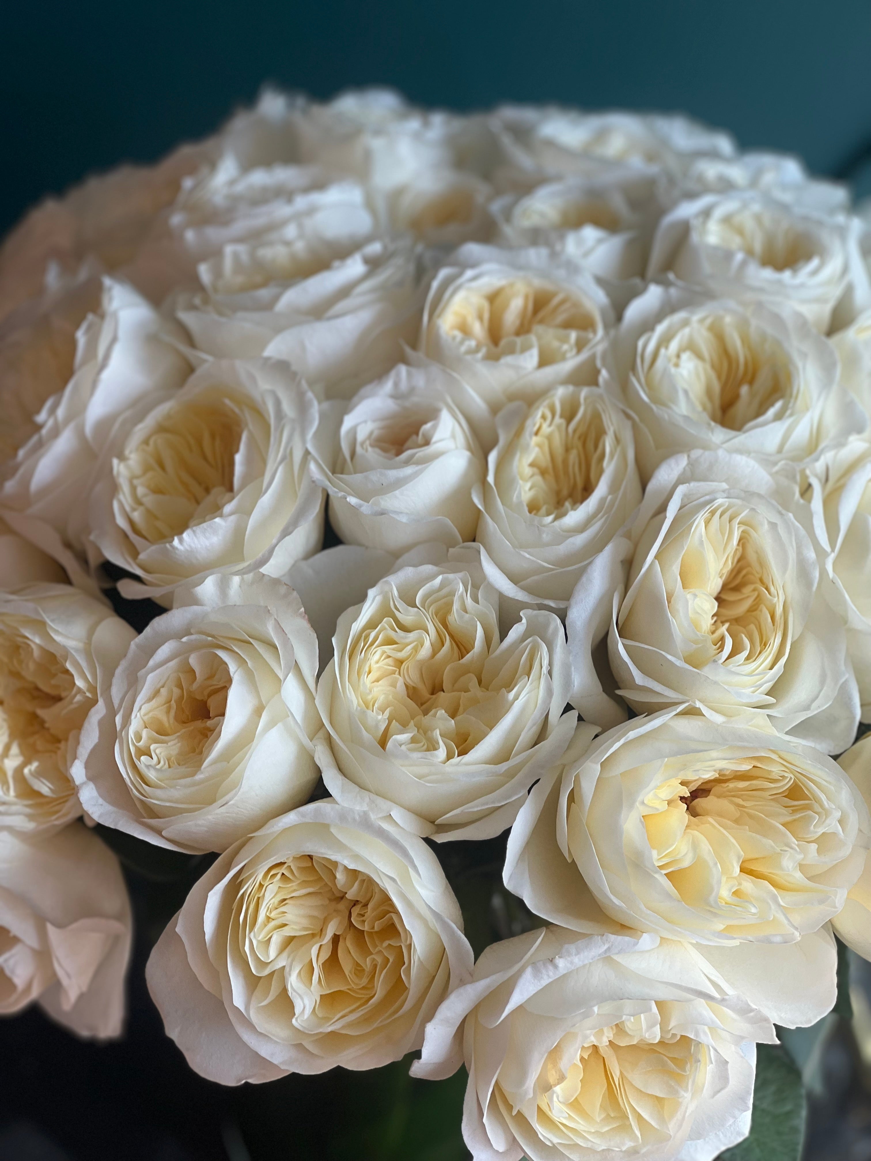 English Garden Elegance – 50 Premium Garden Roses Arrangement