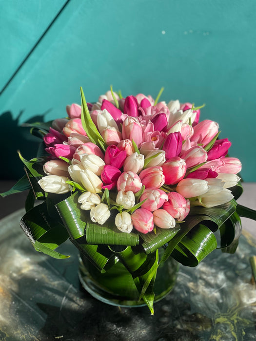 50 white and pink tulips in a vase