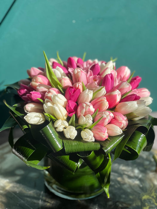 50 white and pink tulips in a vase