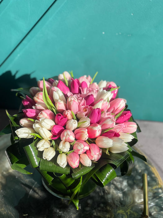 50 white and pink tulips in a vase