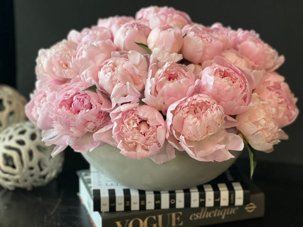 50 Peonies in Cement Vase | Luxury Peony Arrangement buy online Luxury Flowers Miami