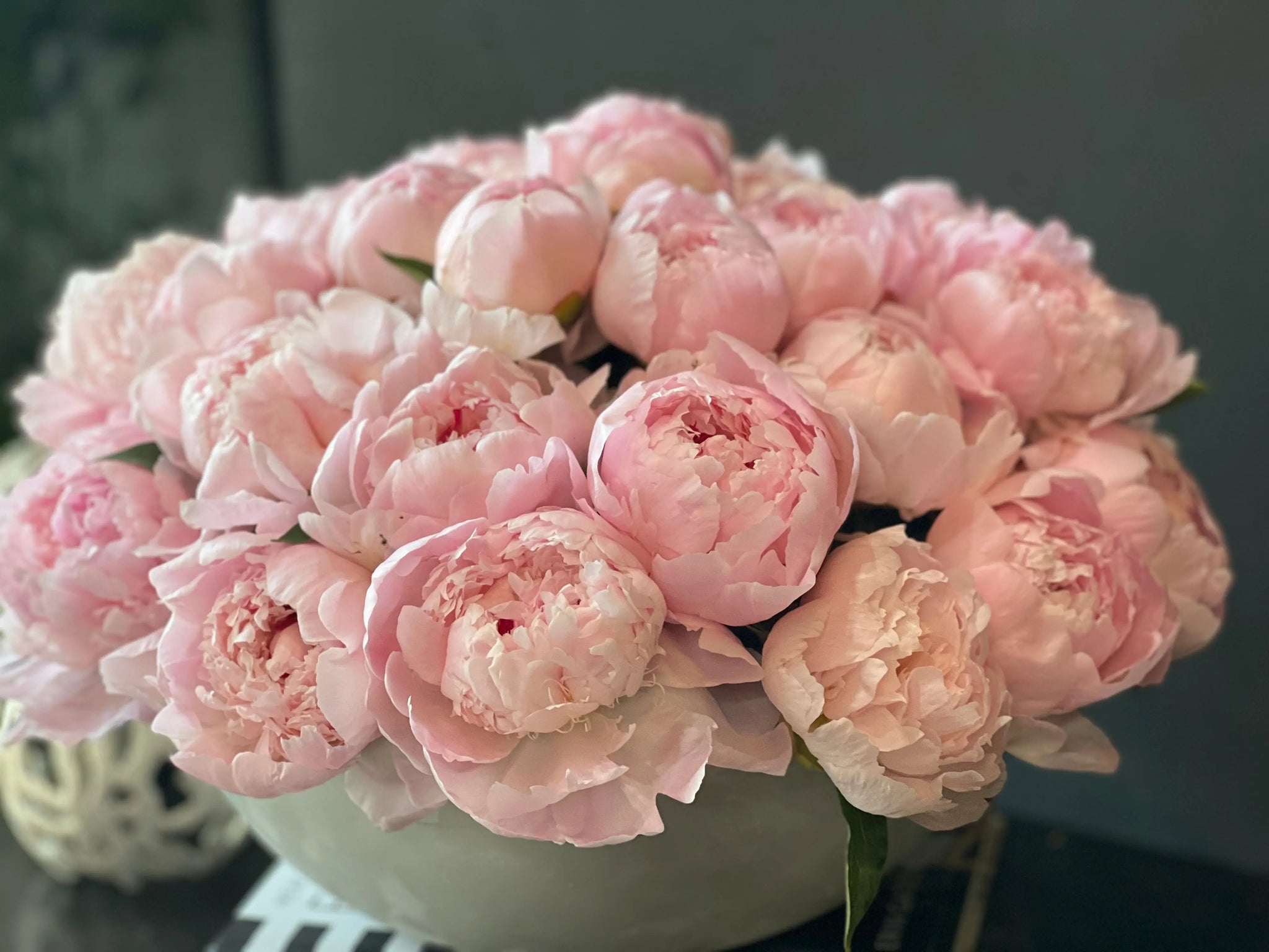 50 Peonies in Cement Vase | Luxury Peony Arrangement buy online Luxury Flowers Miami