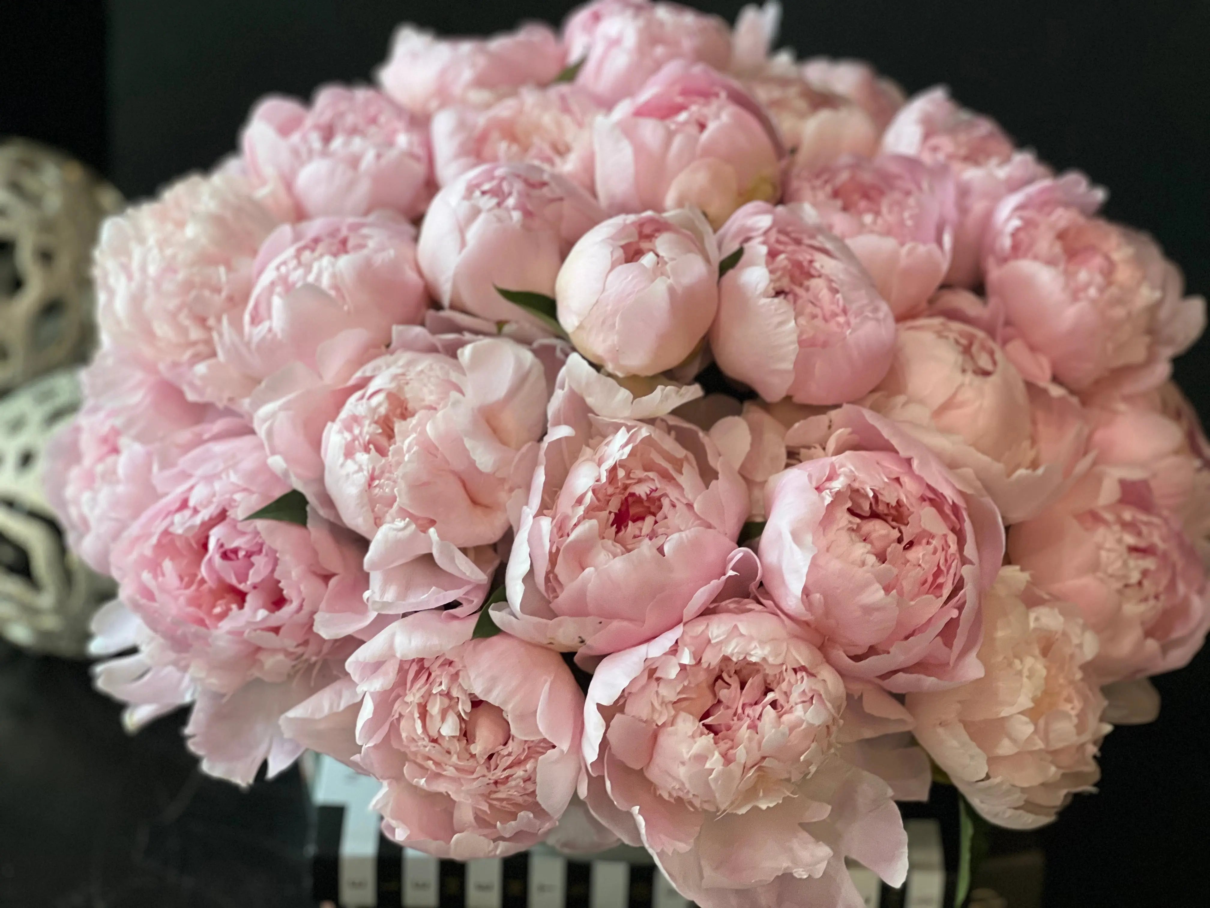 50 Peonies in Cement Vase | Luxury Peony Arrangement buy online Luxury Flowers Miami