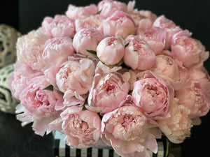 50 Peonies in Cement Vase | Luxury Peony Arrangement buy online Luxury Flowers Miami