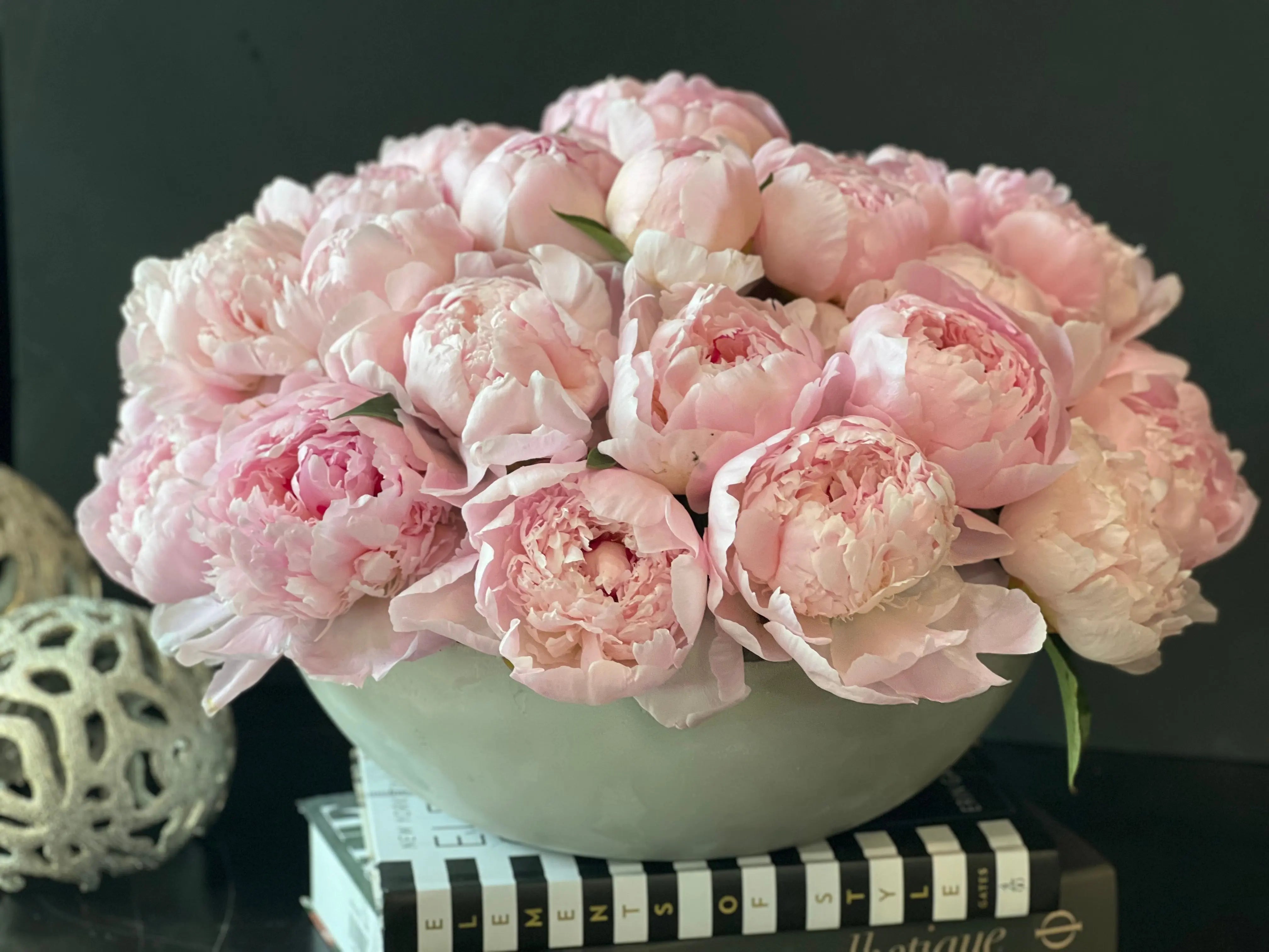 50 Peonies in Cement Vase | Luxury Peony Arrangement buy online Luxury Flowers Miami