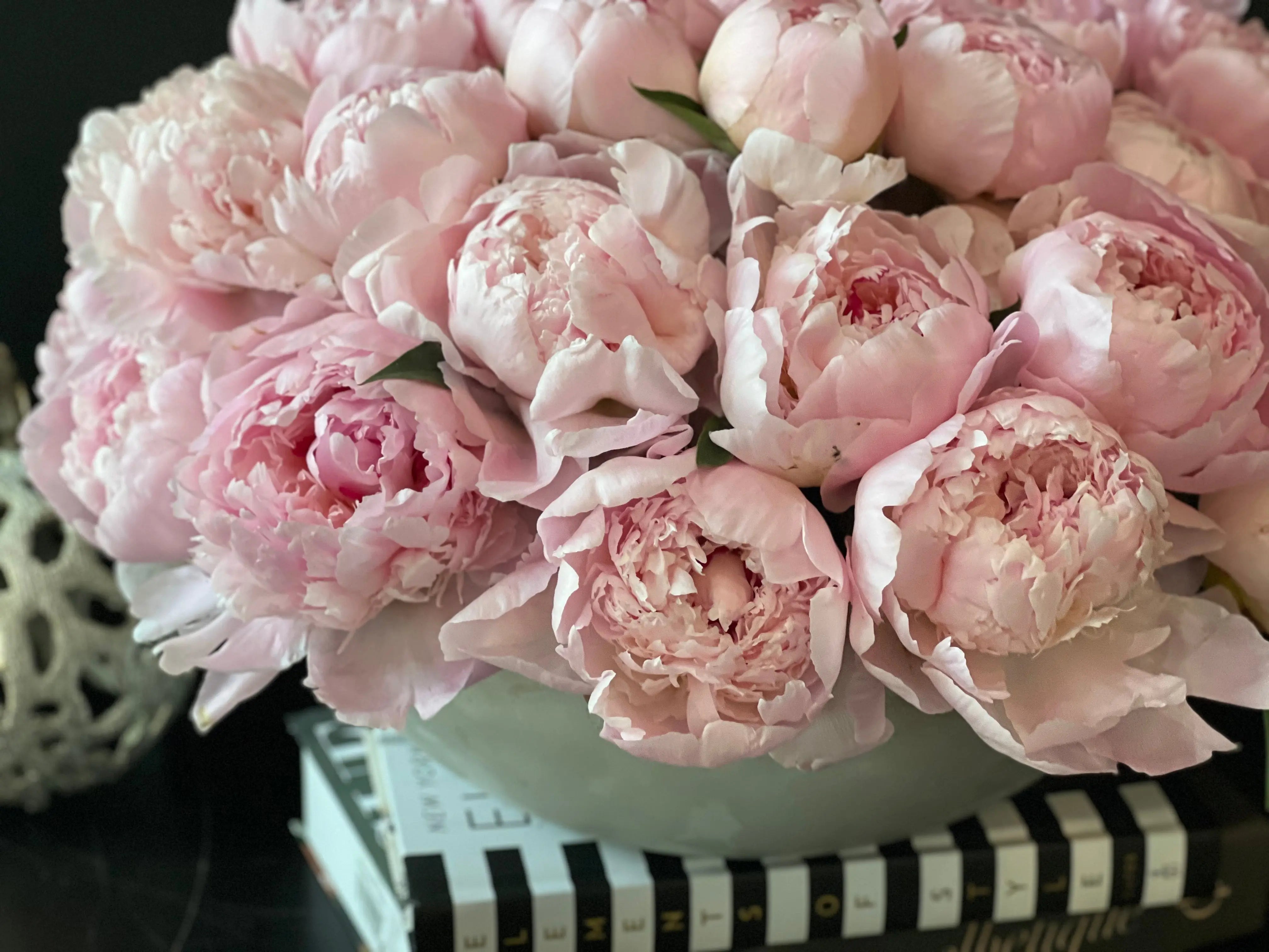 50 Peonies in Cement Vase | Luxury Peony Arrangement buy online Luxury Flowers Miami