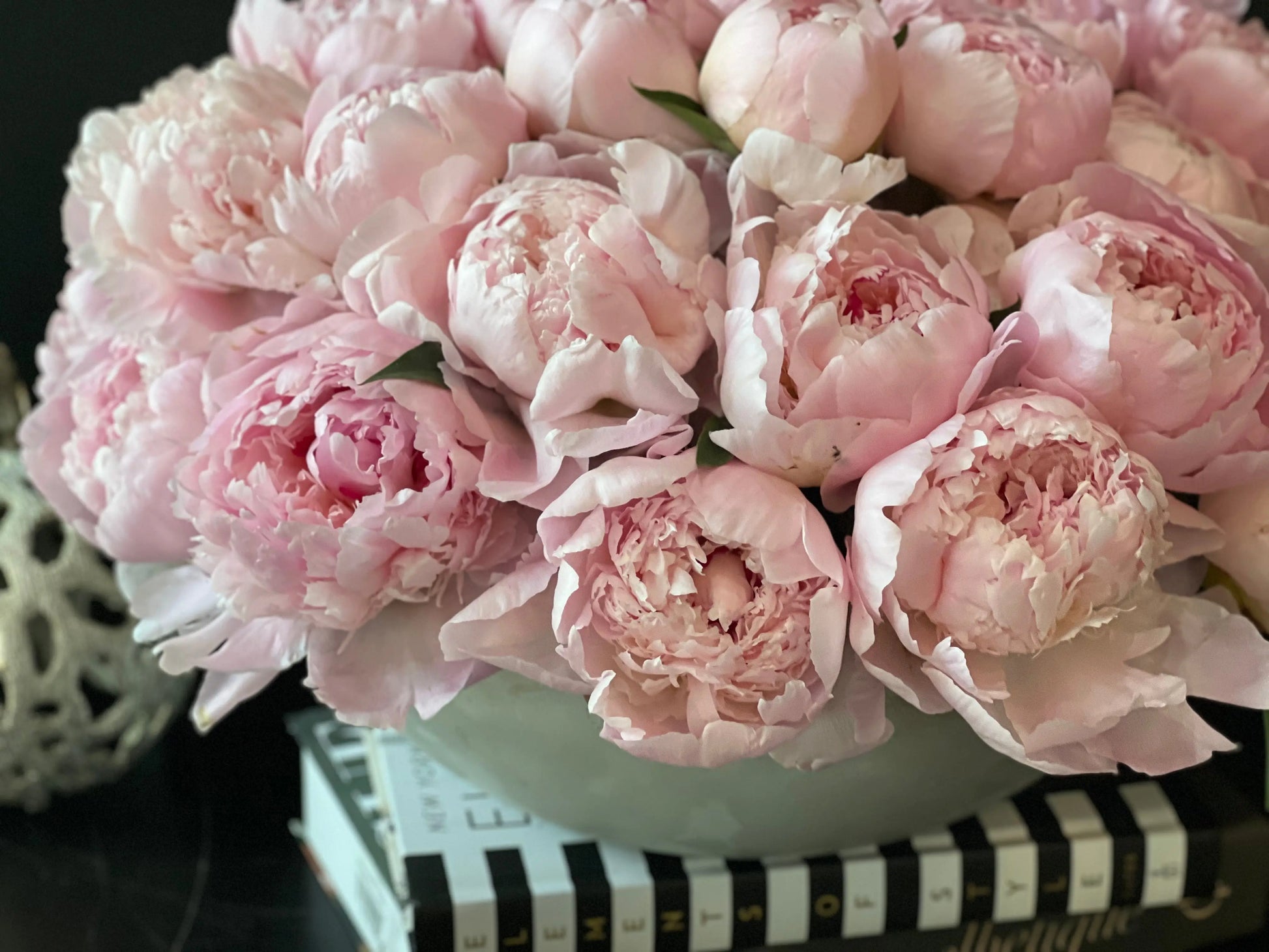 50 Peonies in Cement Vase | Luxury Peony Arrangement buy online Luxury Flowers Miami