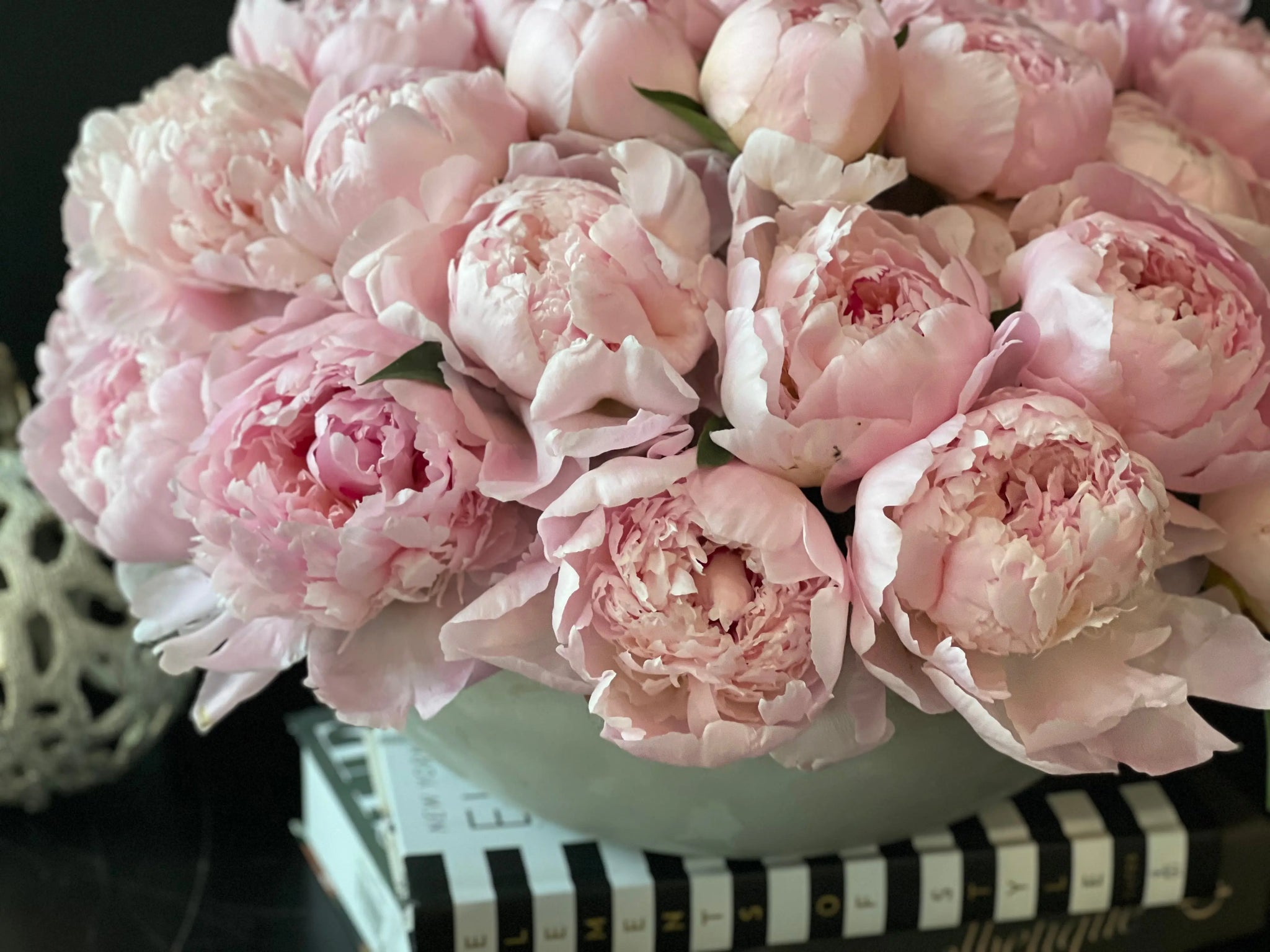 50 Peonies in Cement Vase | Luxury Peony Arrangement buy online Luxury Flowers Miami