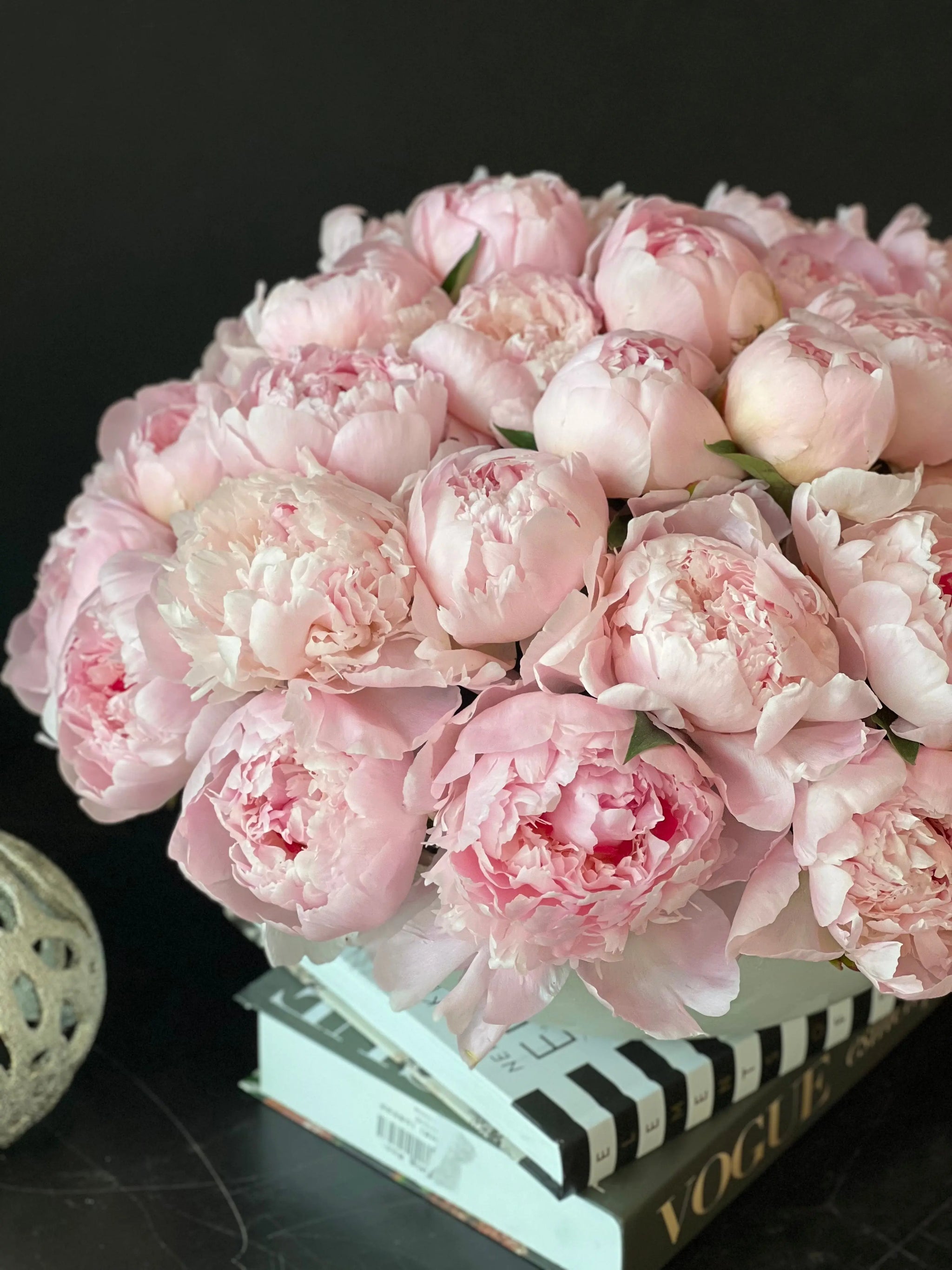 50 Peonies in Cement Vase | Luxury Peony Arrangement buy online Luxury Flowers Miami