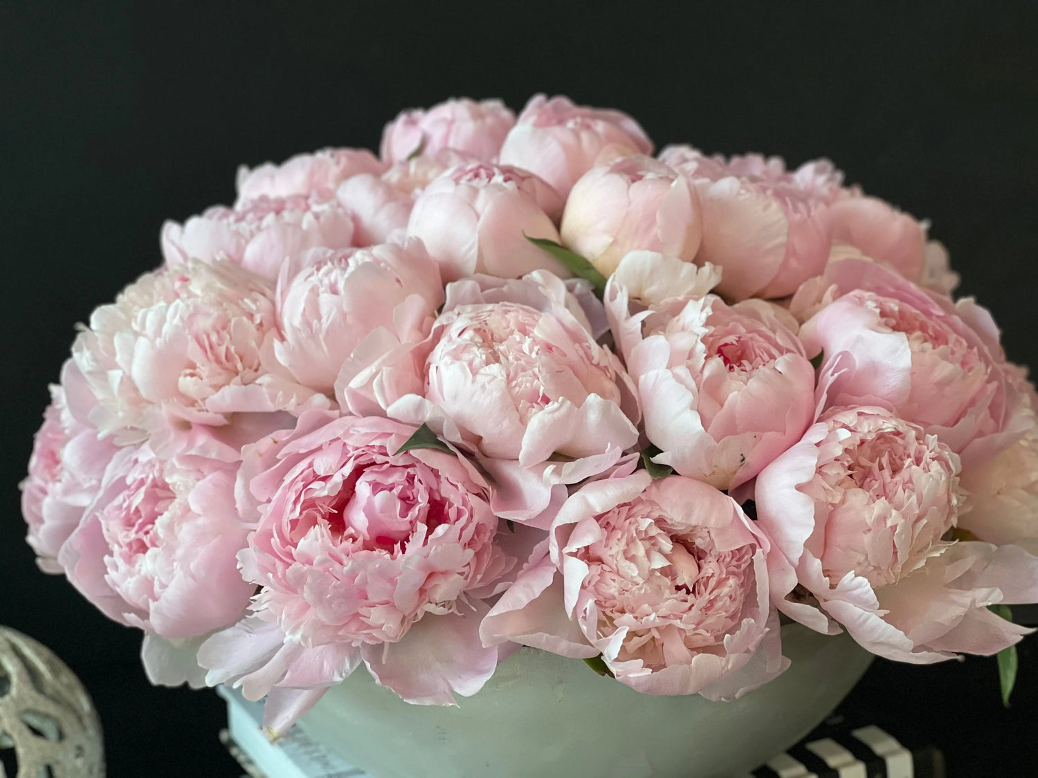 50 Peonies in Cement Vase | Luxury Peony Arrangement buy online Luxury Flowers Miami
