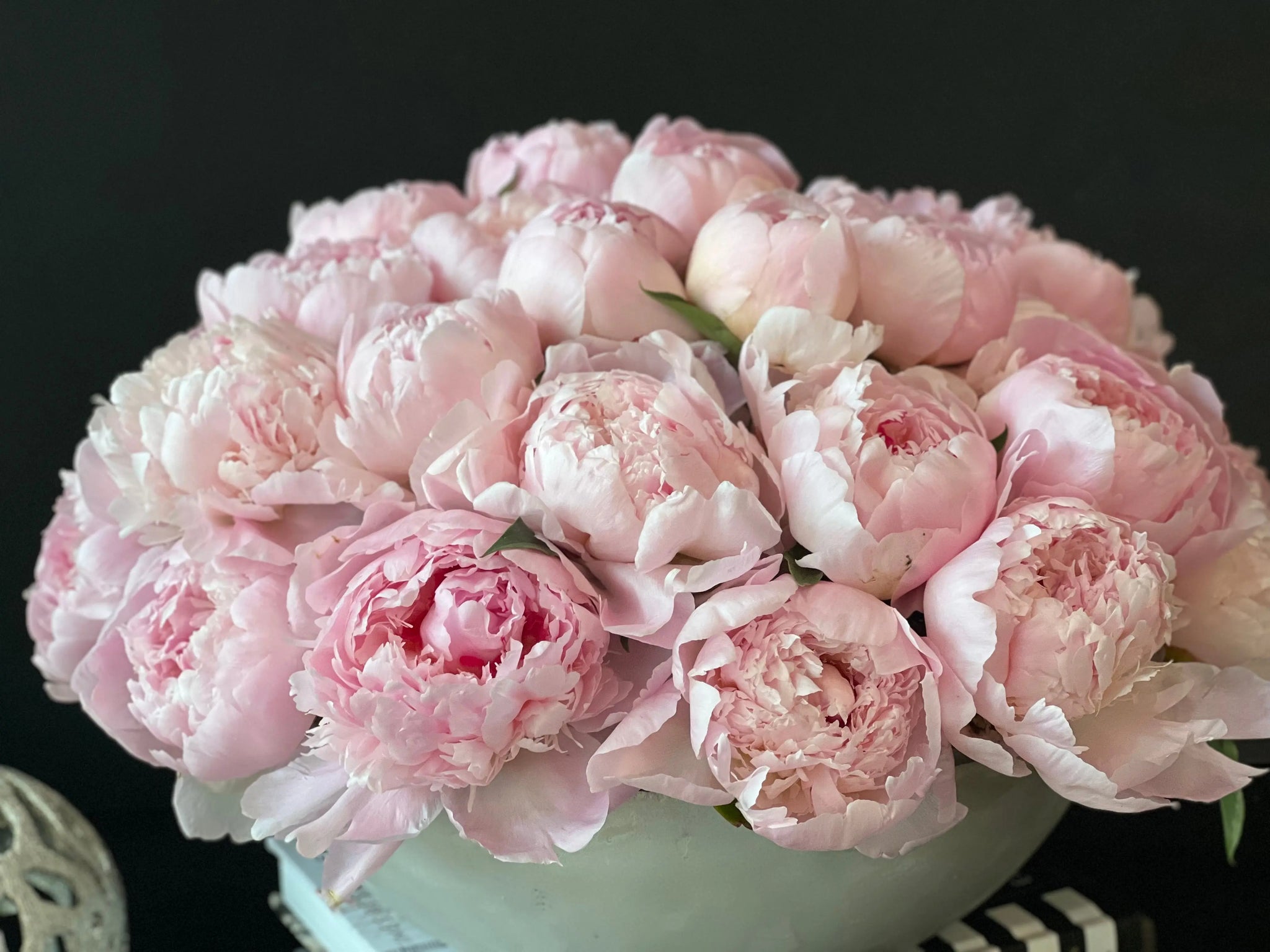 50 Peonies in Cement Vase | Luxury Peony Arrangement buy online Luxury Flowers Miami
