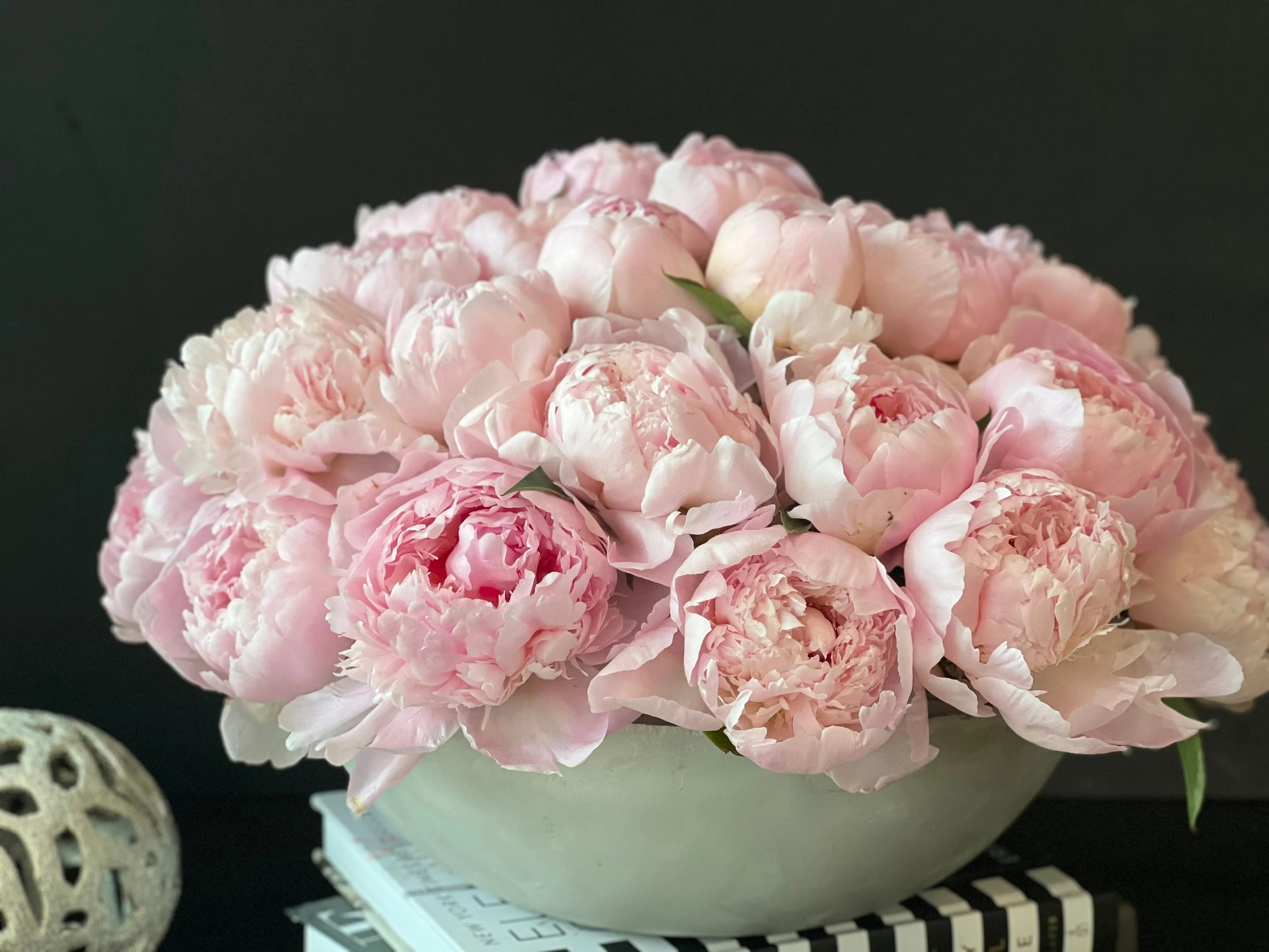 50 Peonies in Cement Vase | Luxury Peony Arrangement buy online Luxury Flowers Miami