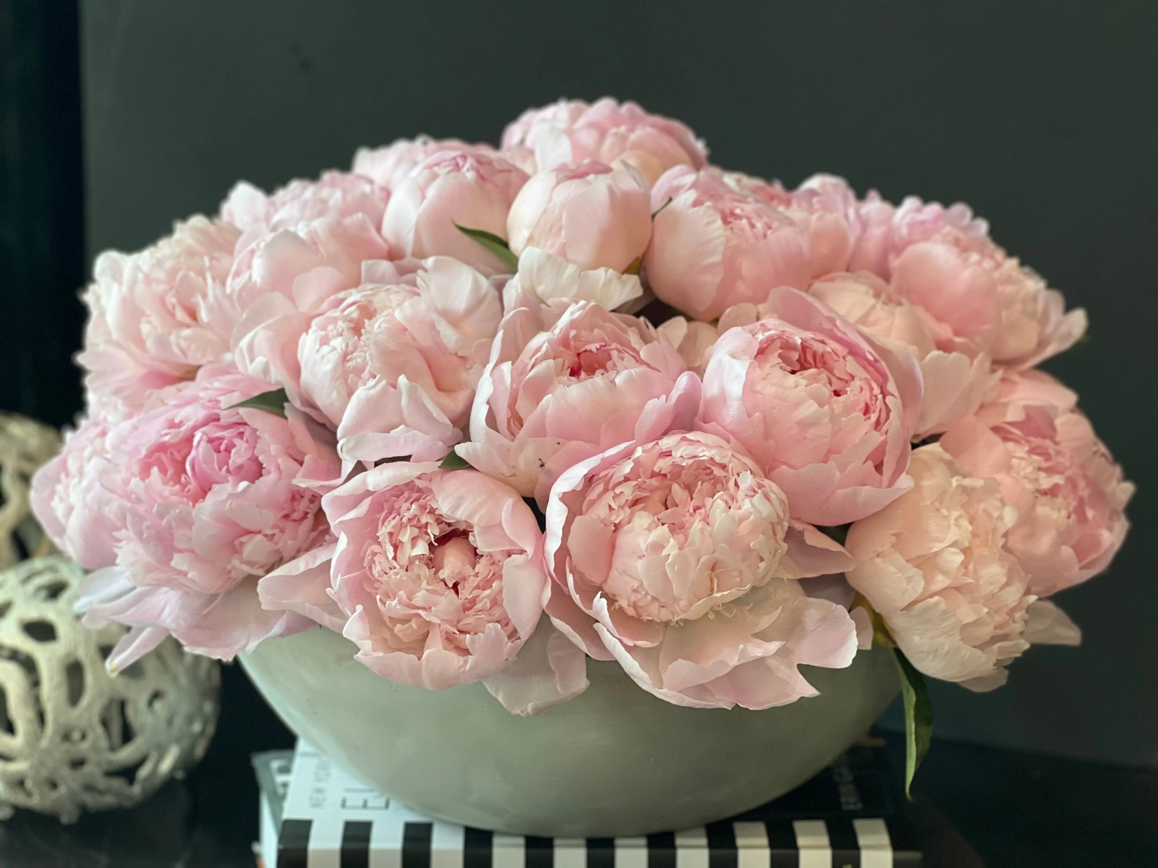 50 Peonies in Cement Vase | Luxury Peony Arrangement buy online Luxury Flowers Miami