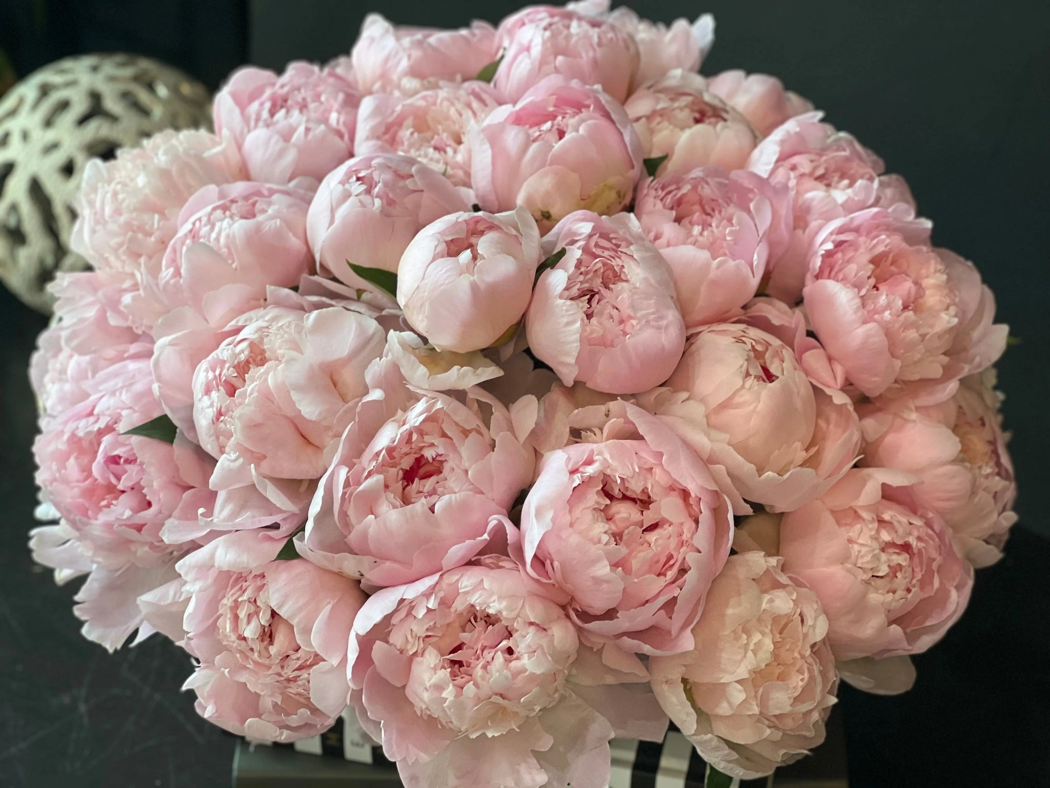50 Peonies in Cement Vase | Luxury Peony Arrangement buy online Luxury Flowers Miami
