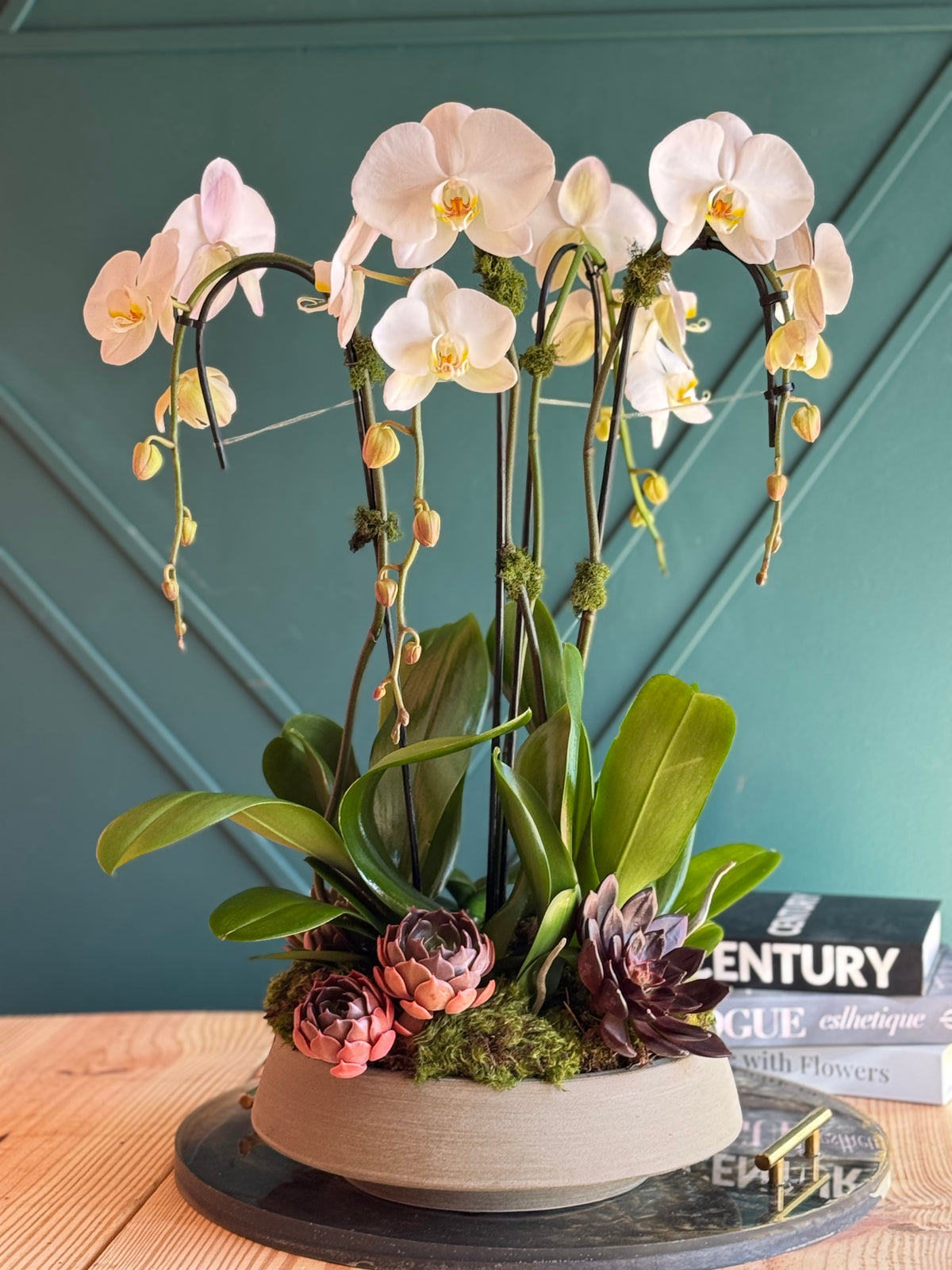 Orchid Plant Subscription – Potted Orchids & Plant Arrangements