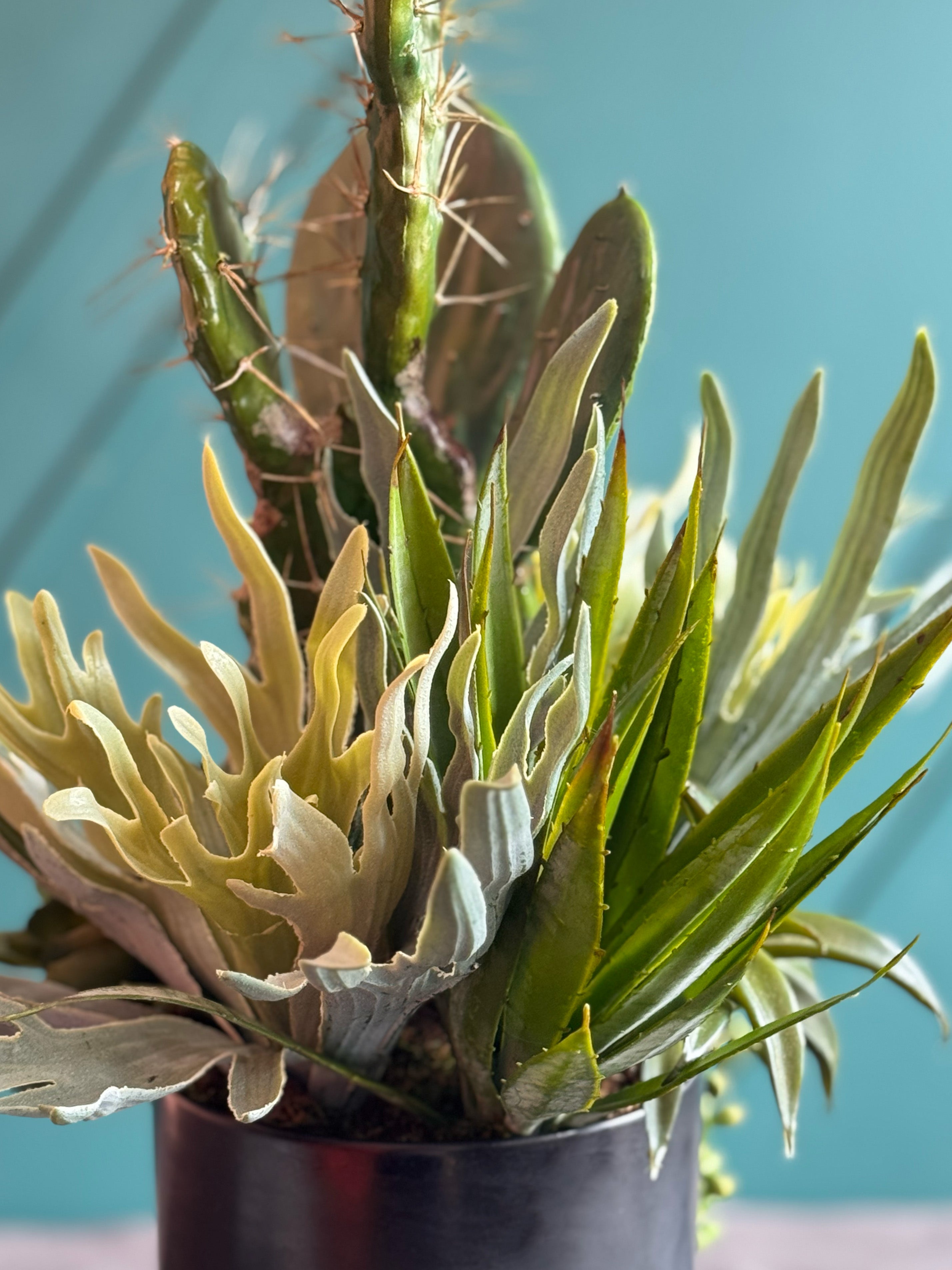 Modern Artificial Cactus & Succulent Arrangement in Black Planter