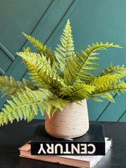 Artificial Fern Arrangement in Concrete Planter | Faux Boston Fern Decor