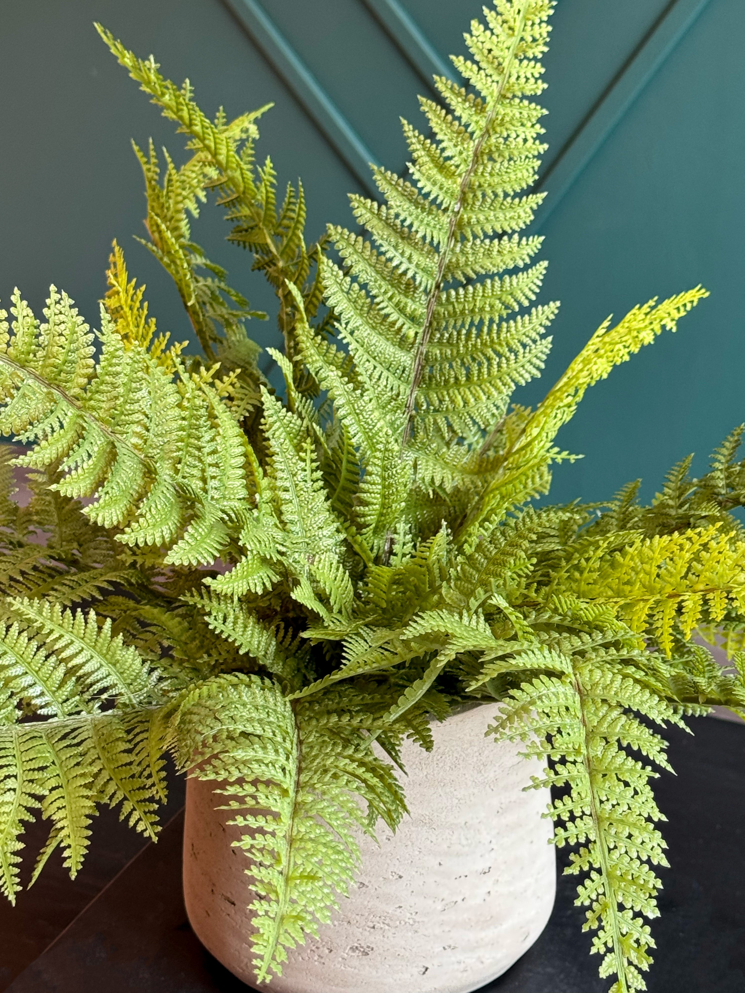 Artificial Fern Arrangement in Concrete Planter | Faux Boston Fern Decor