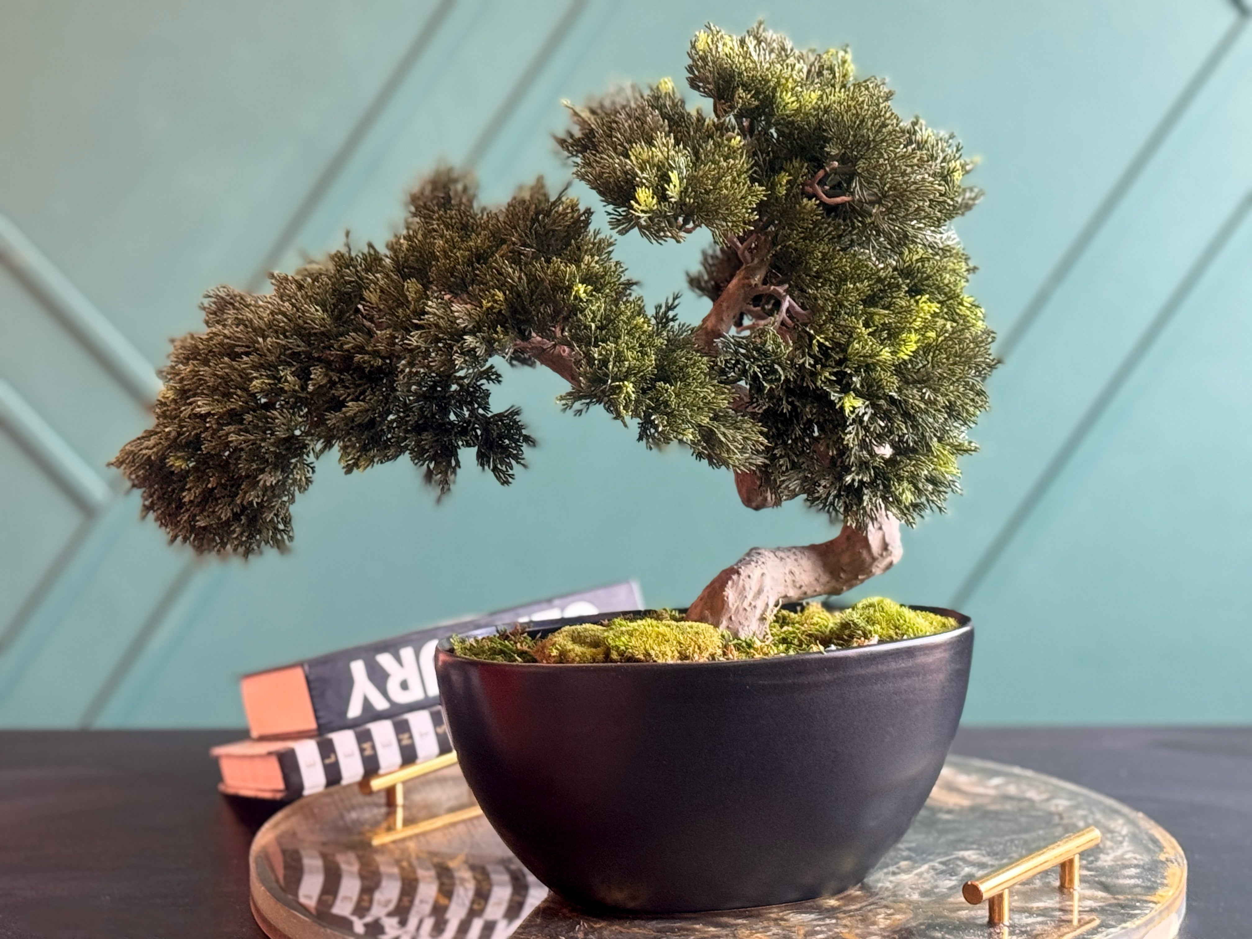 Artificial Bonsai Tree in Modern Black Planter