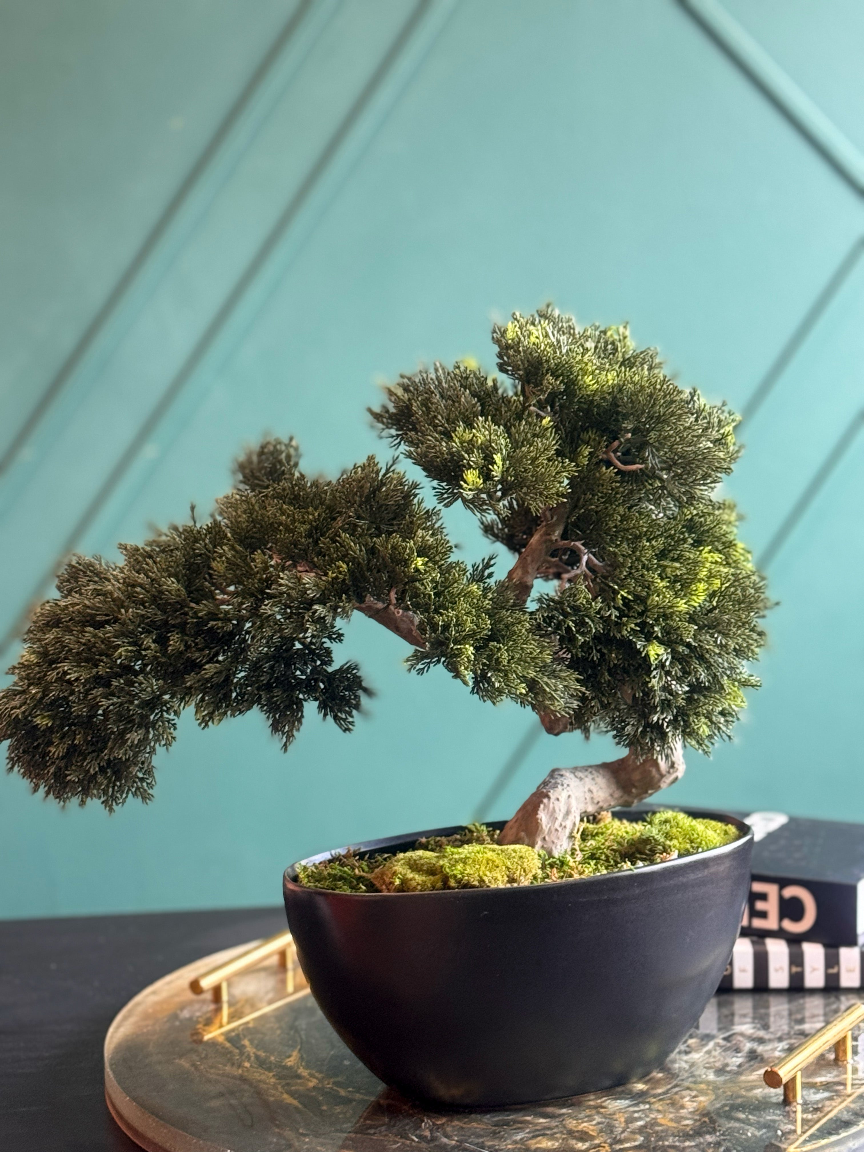 Artificial Bonsai Tree in Modern Black Planter