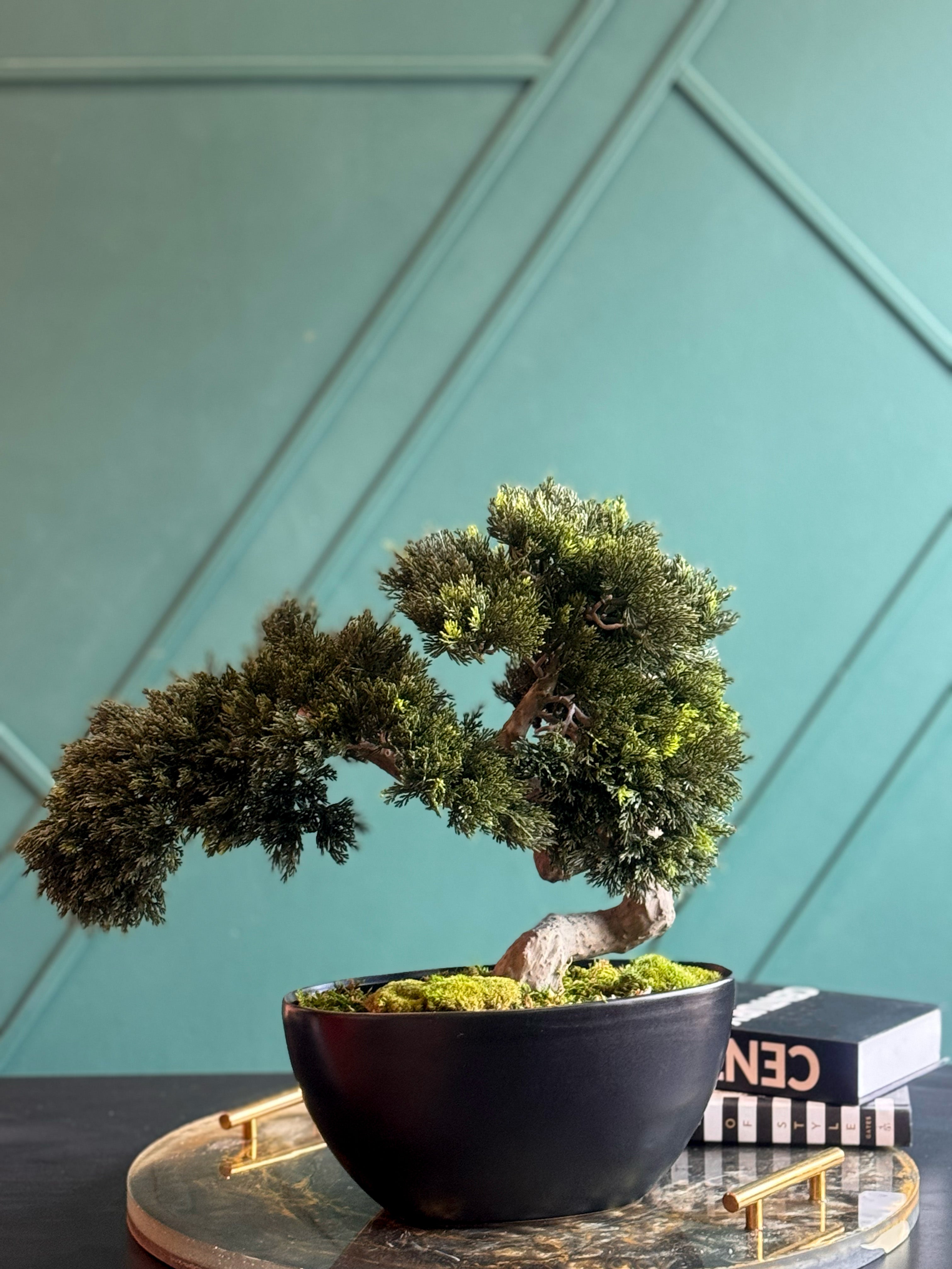 Artificial Bonsai Tree in Modern Black Planter