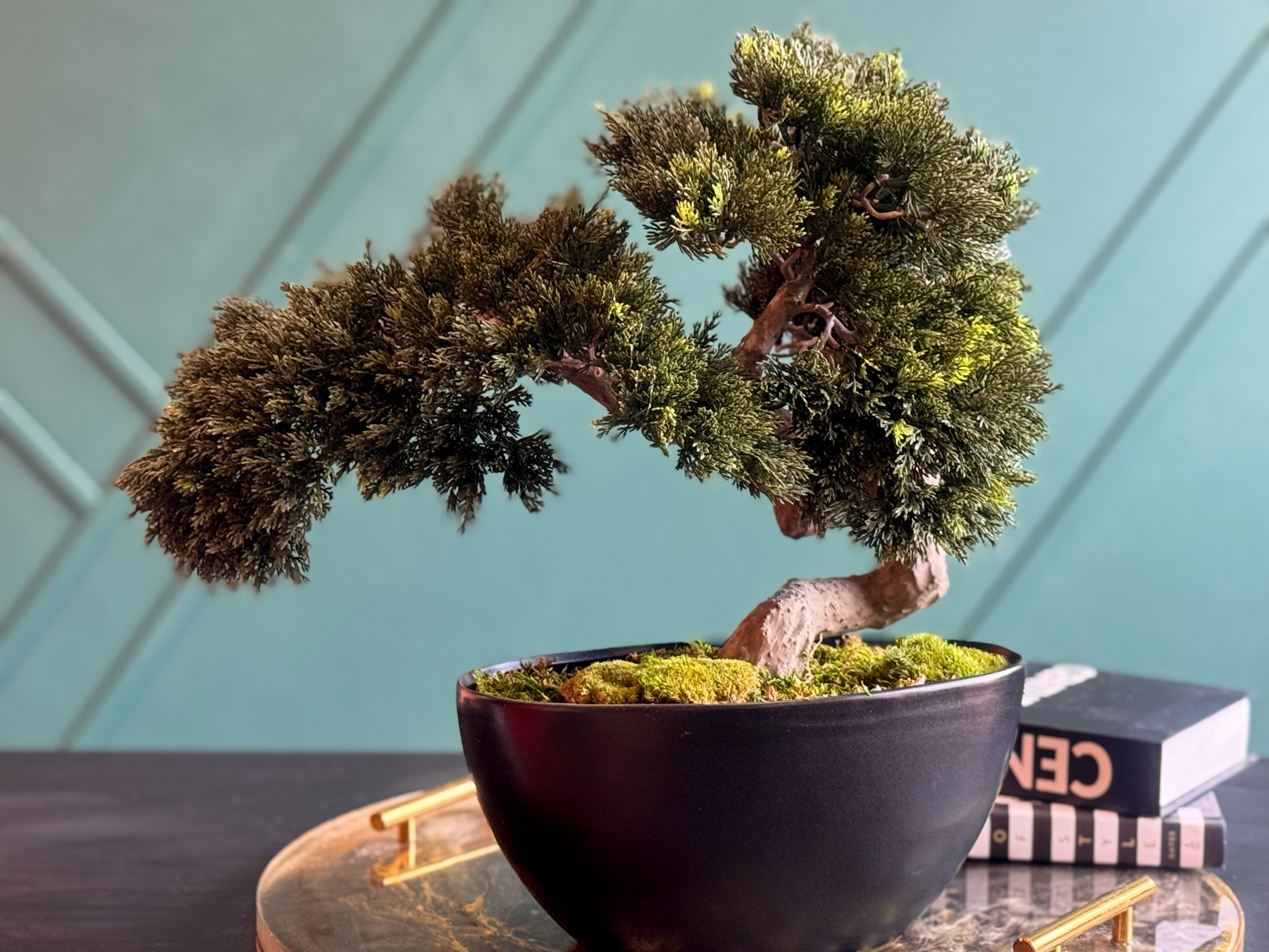 Artificial Bonsai Tree in Modern Black Planter