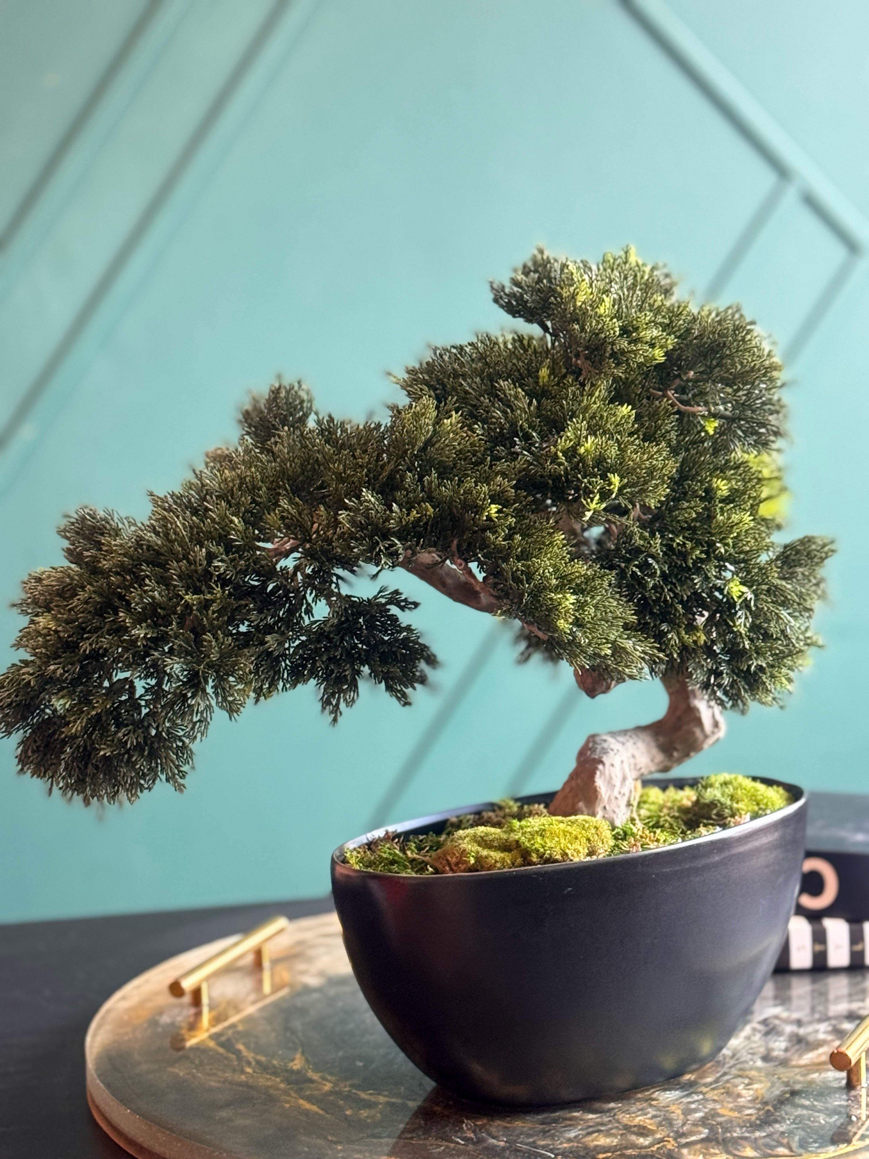 Artificial Bonsai Tree in Modern Black Planter