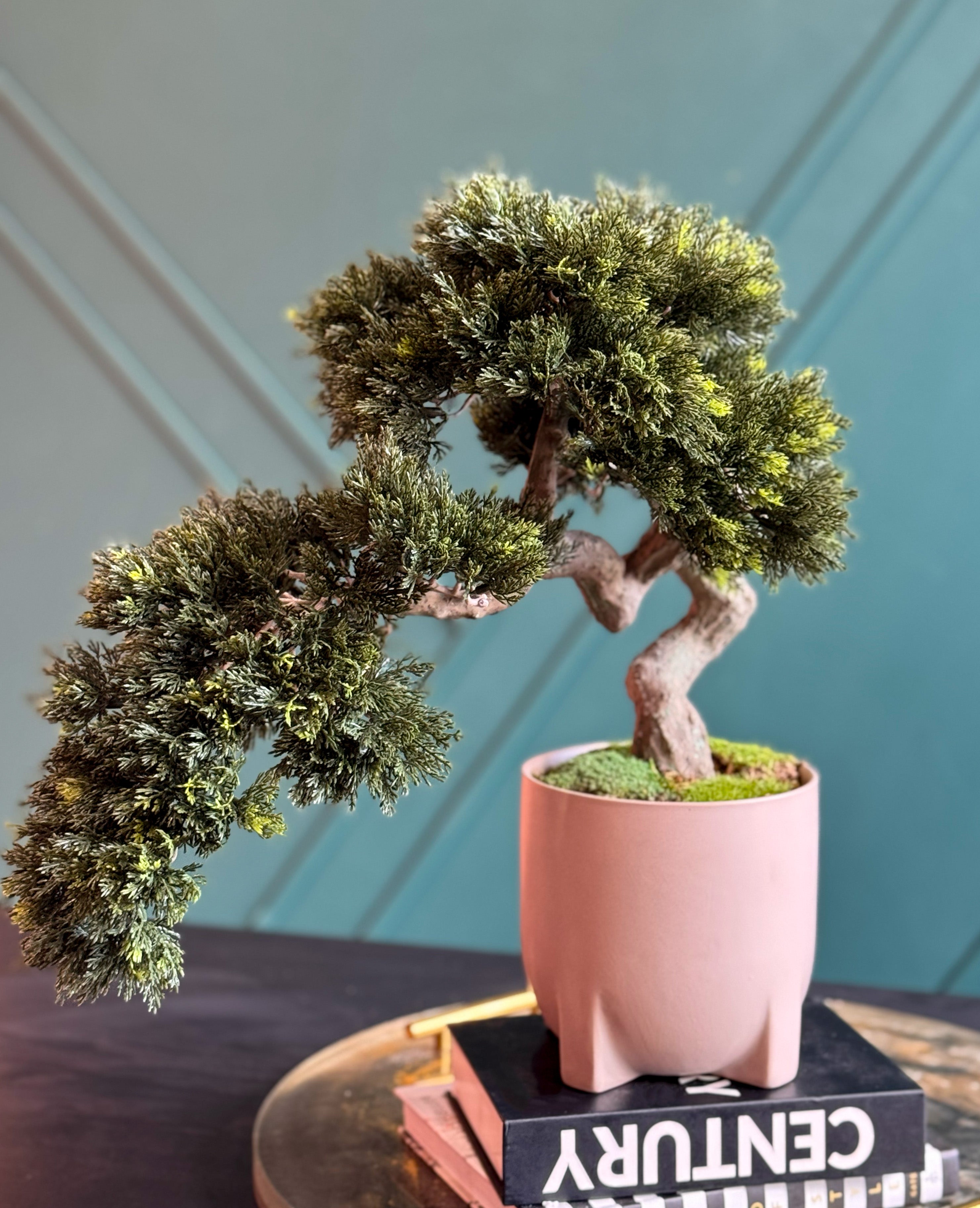 Luxury Artificial Bonsai Tree in Modern Pink Cement Planter | Real Touch Faux Bonsai Decor